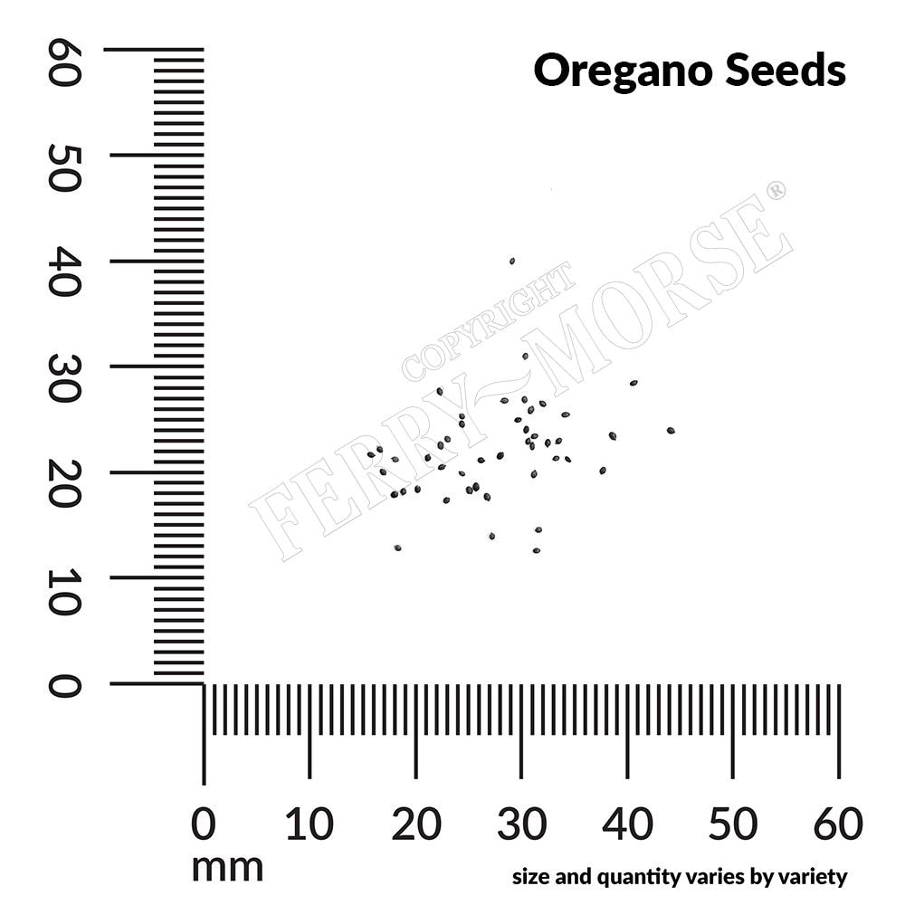 Ferry-Morse LC25.1360 Vegetable-Herb-Seeds - View #4