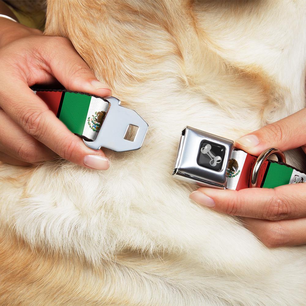 Buckle-Down DC-W31354-L Dog-Collars-Harnesses - View #2
