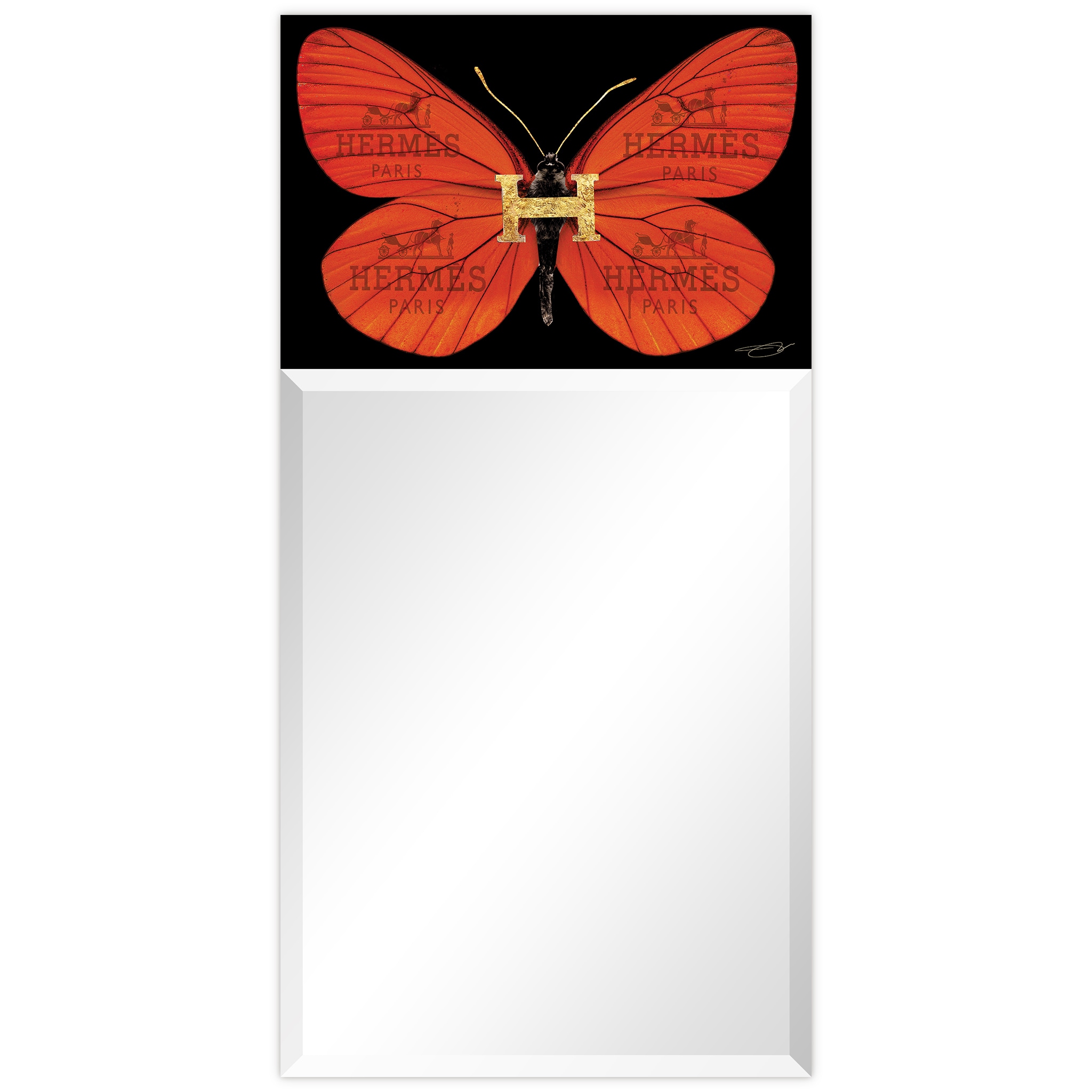Empire Art Direct TAM-JP6062-2448T Tempered Glass Frame Wall Mirror 24-in W x 48-in H Red Beveled Wall Mirror