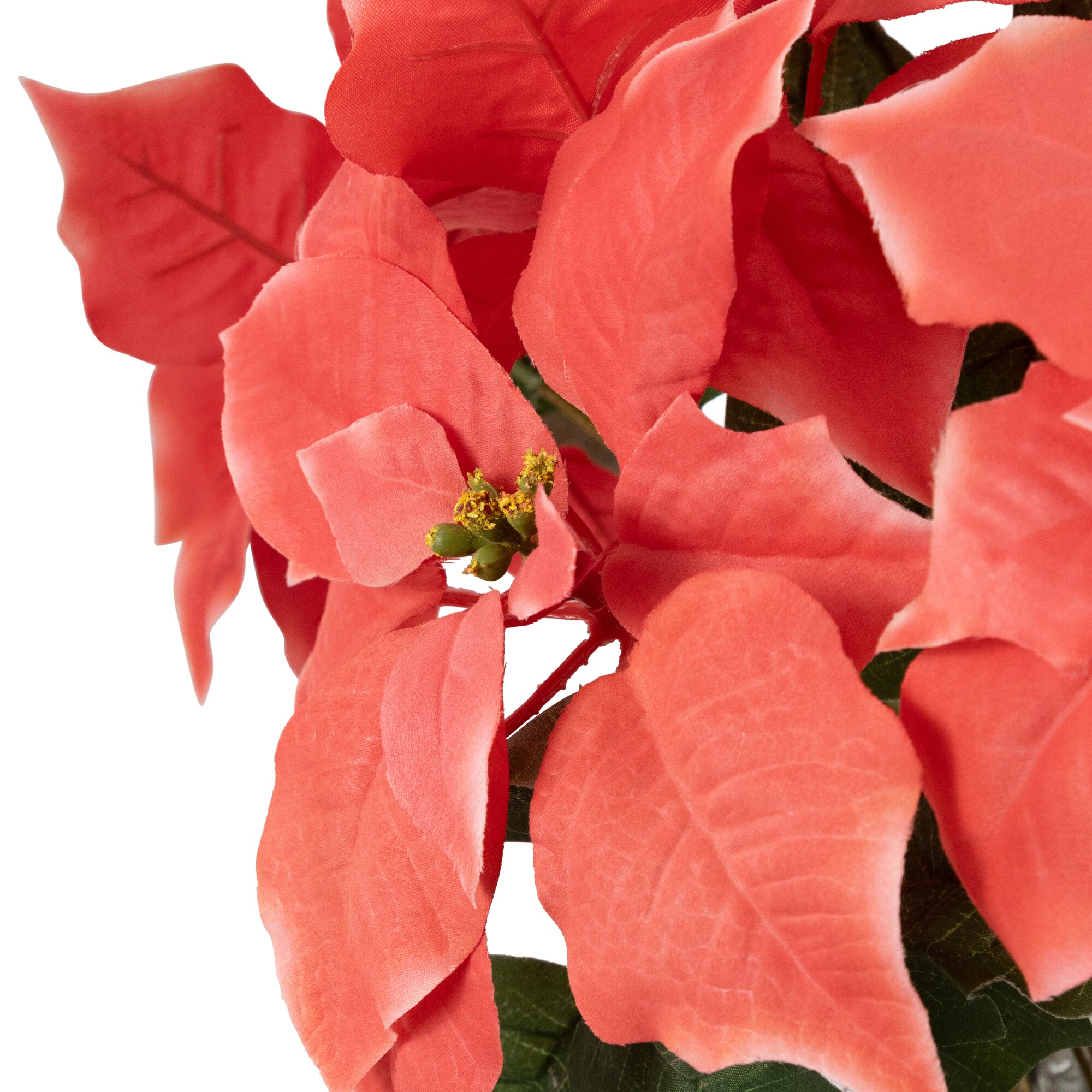 Northlight 35680739 Table-Christmas-Decorations - View #6