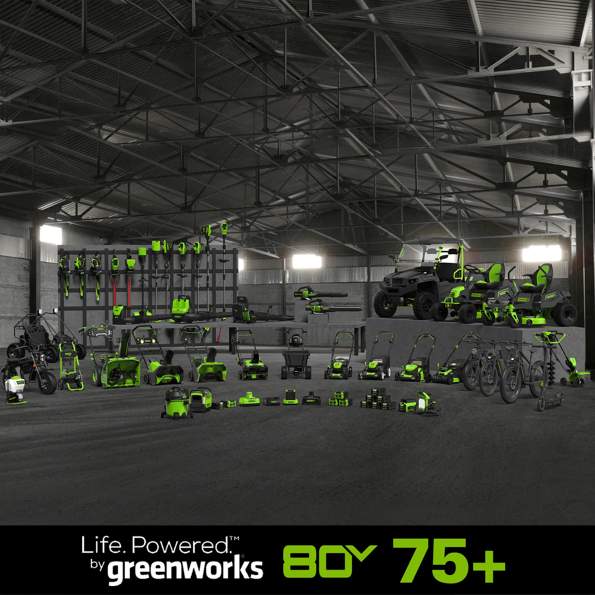 Greenworks CS80L01 Cordless-Chainsaw - View #6