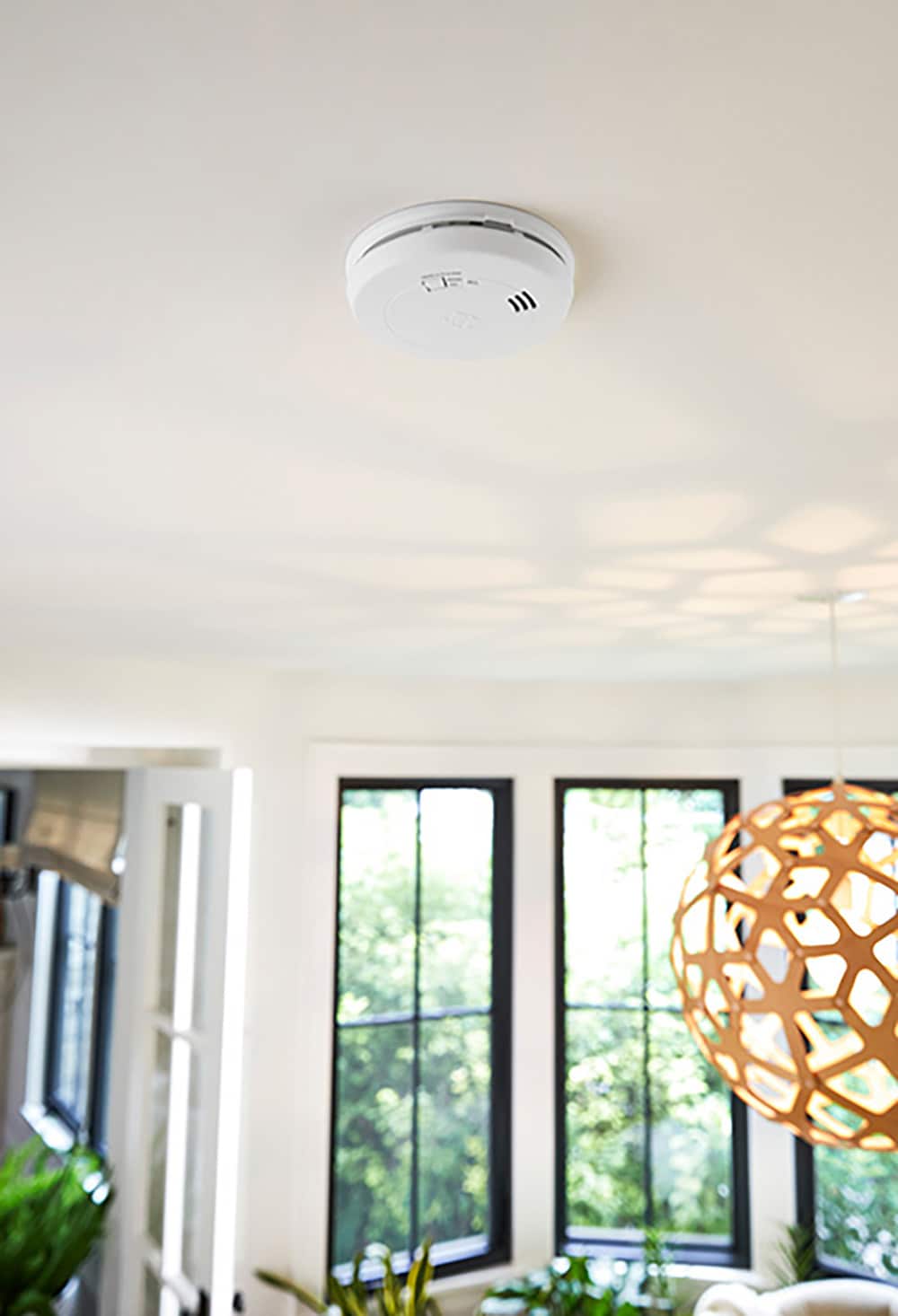 First Alert 10-Year Battery-Operated Combination Smoke and Carbon Monoxide  Detector