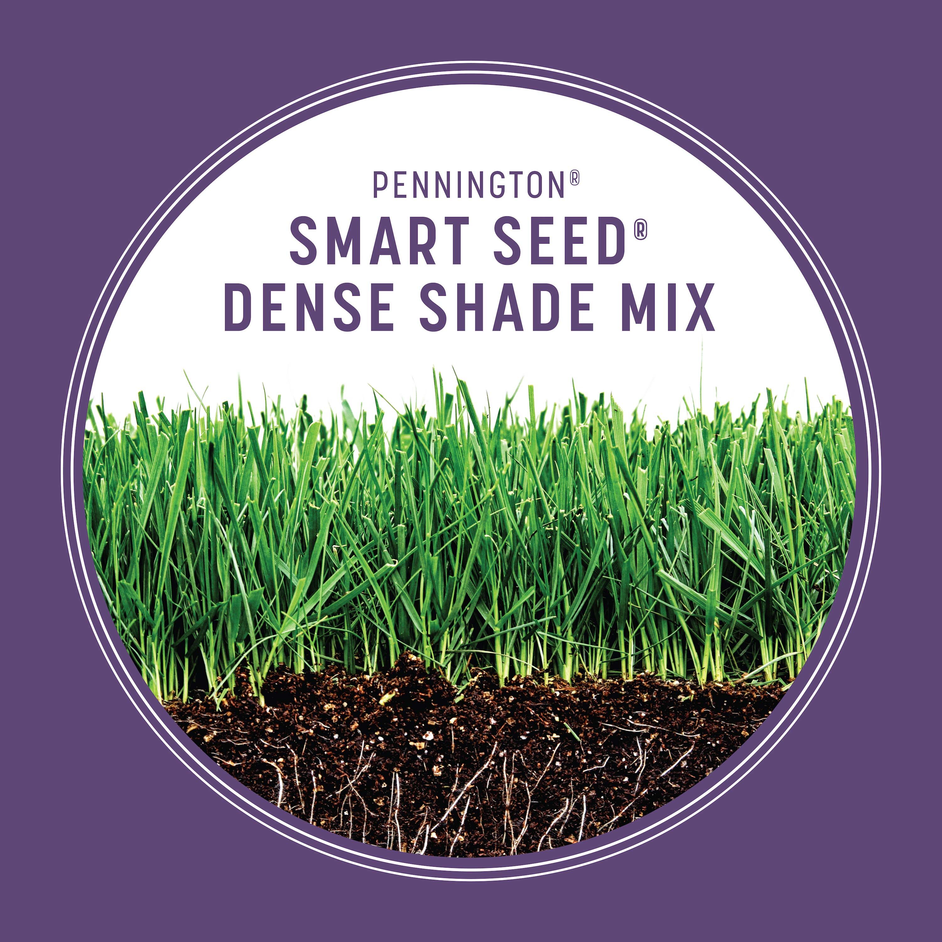 Pennington 100543703 Grass-Seed - View #7