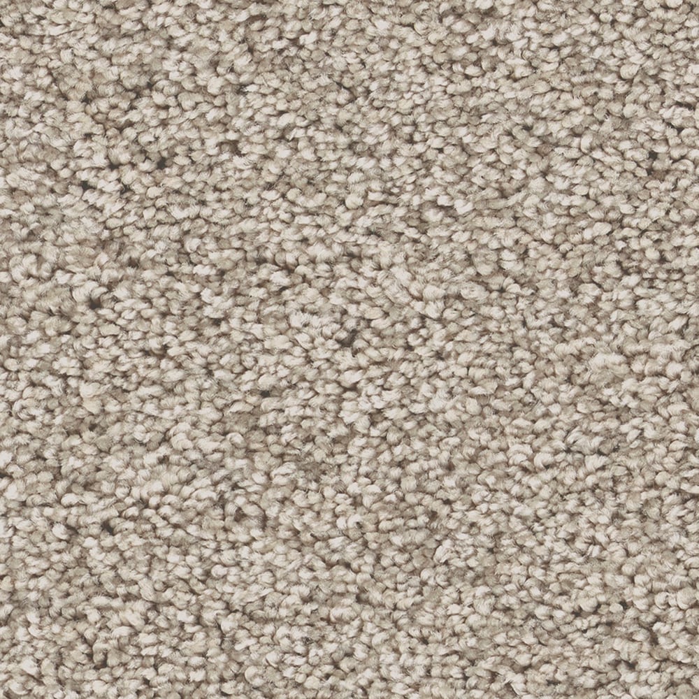 STAINMASTER PetProtect 7L974-114-SAMP (Sample) 8-in x 8-in with LeakDefense Forever Loyal I Mesa Tan 59-oz sq yard High-performance polyester Textured Indoor Carpet