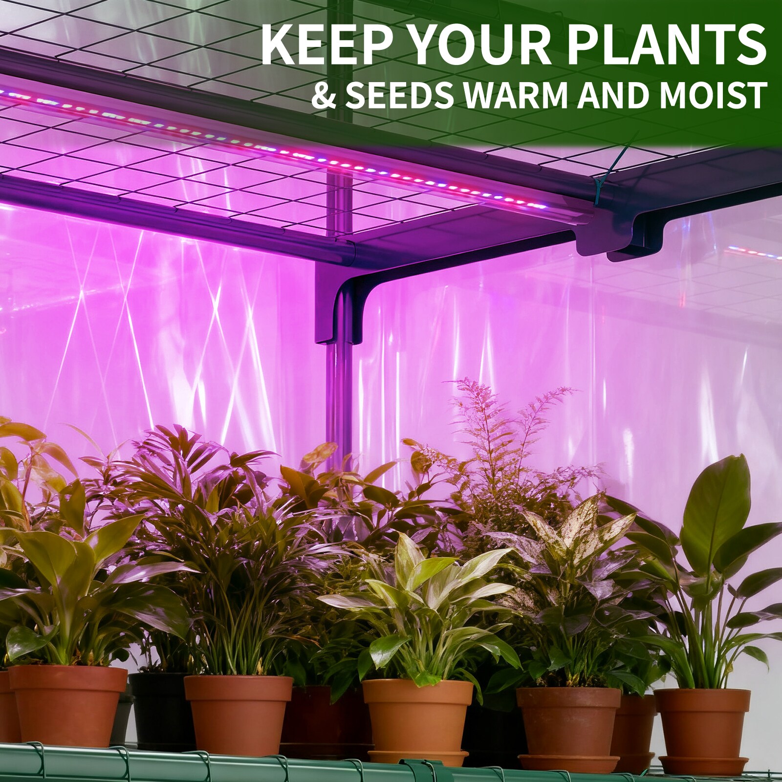 Esazn LYSTY-TSL-250-BR-BL greenhouses - View #3