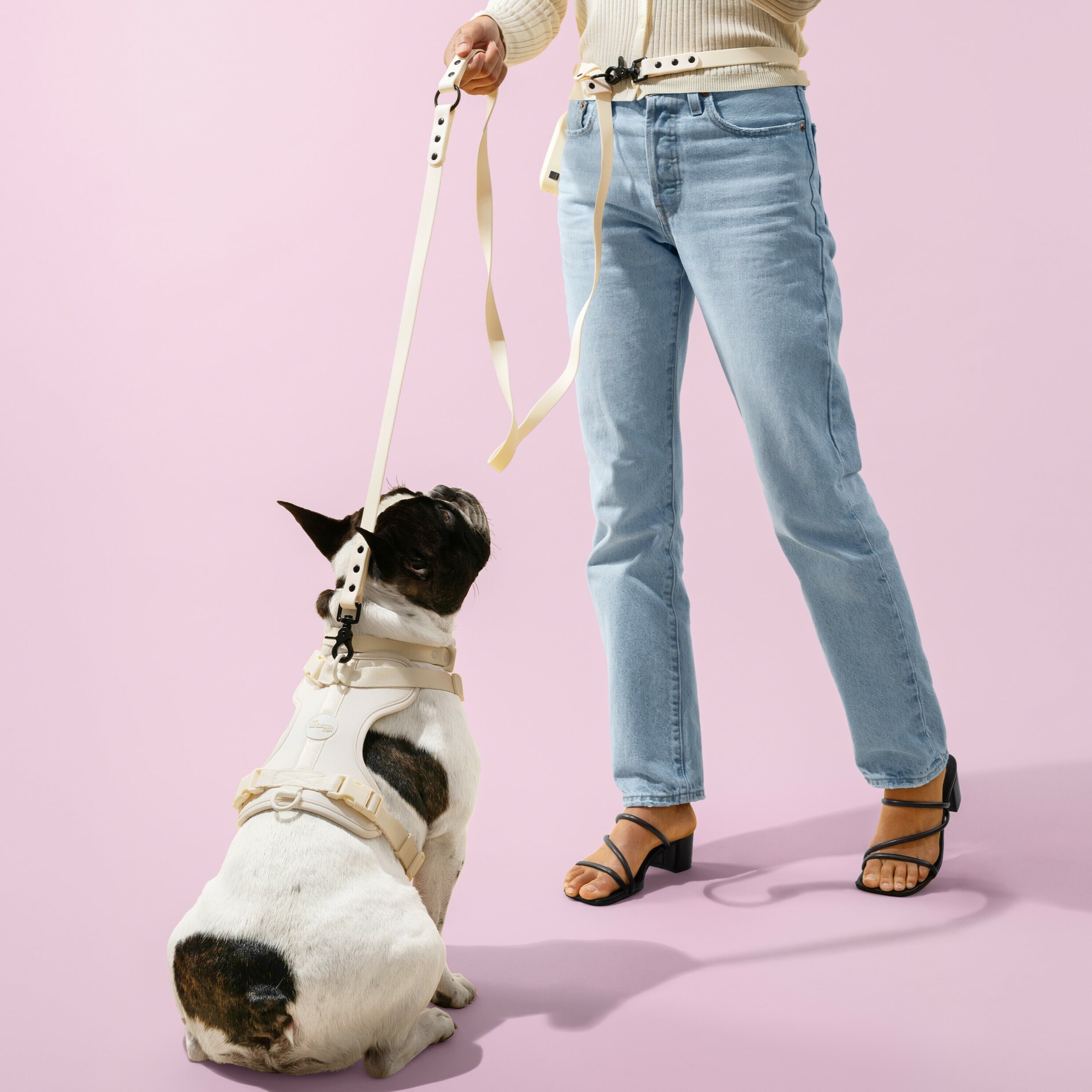 The Licker Store WLK1004L-5SET Dog-Collars-Harnesses - Thumbnail View #2