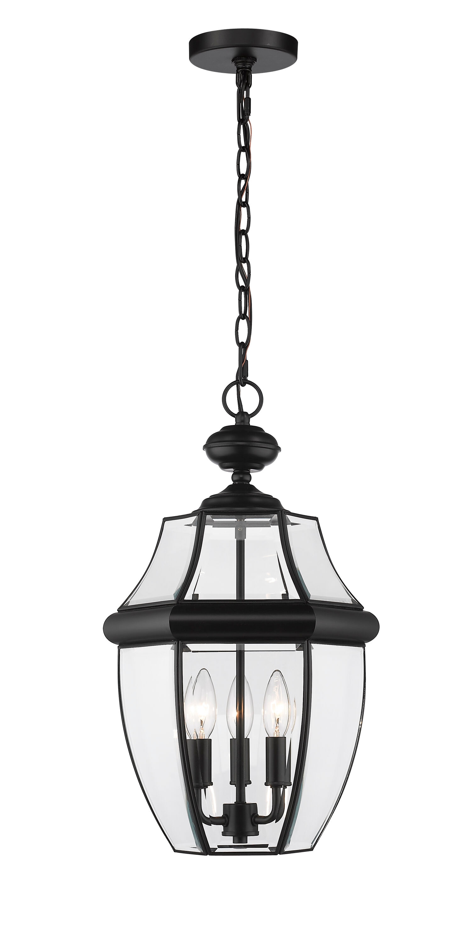 Z-Lite 580CHB-BK Pendant-Lights - View #2