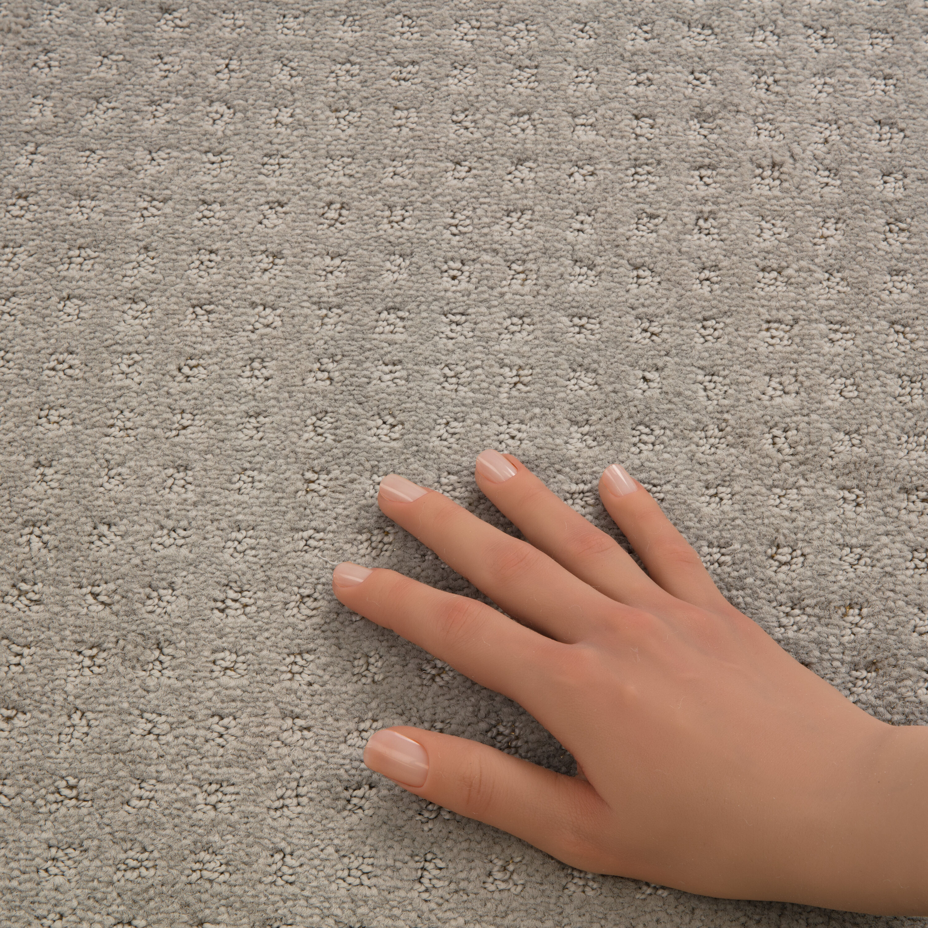 STAINMASTER PetProtect 7L89800511 Carpet-Panel - View #5