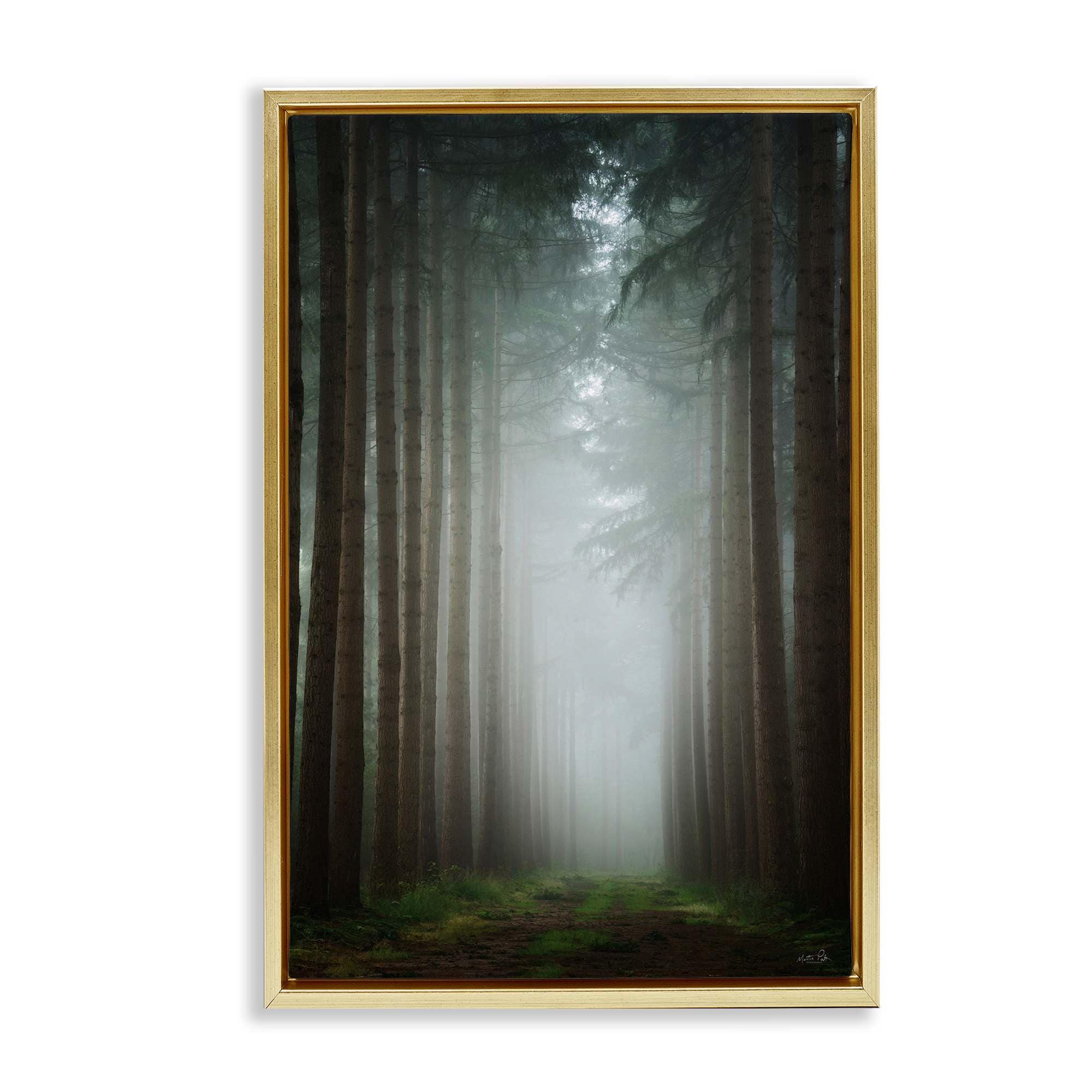 Stupell Industries BT-591-FFG-20X30 Moonlight Through Dark Forest Floating Frame design by Martin Podt