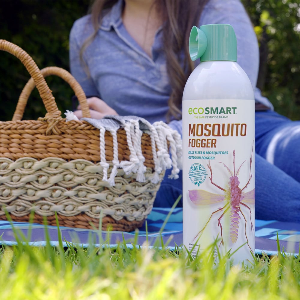 ecosmart-6-oz-all-purpose-indoor-outdoor-bug-spray-in-the-insect