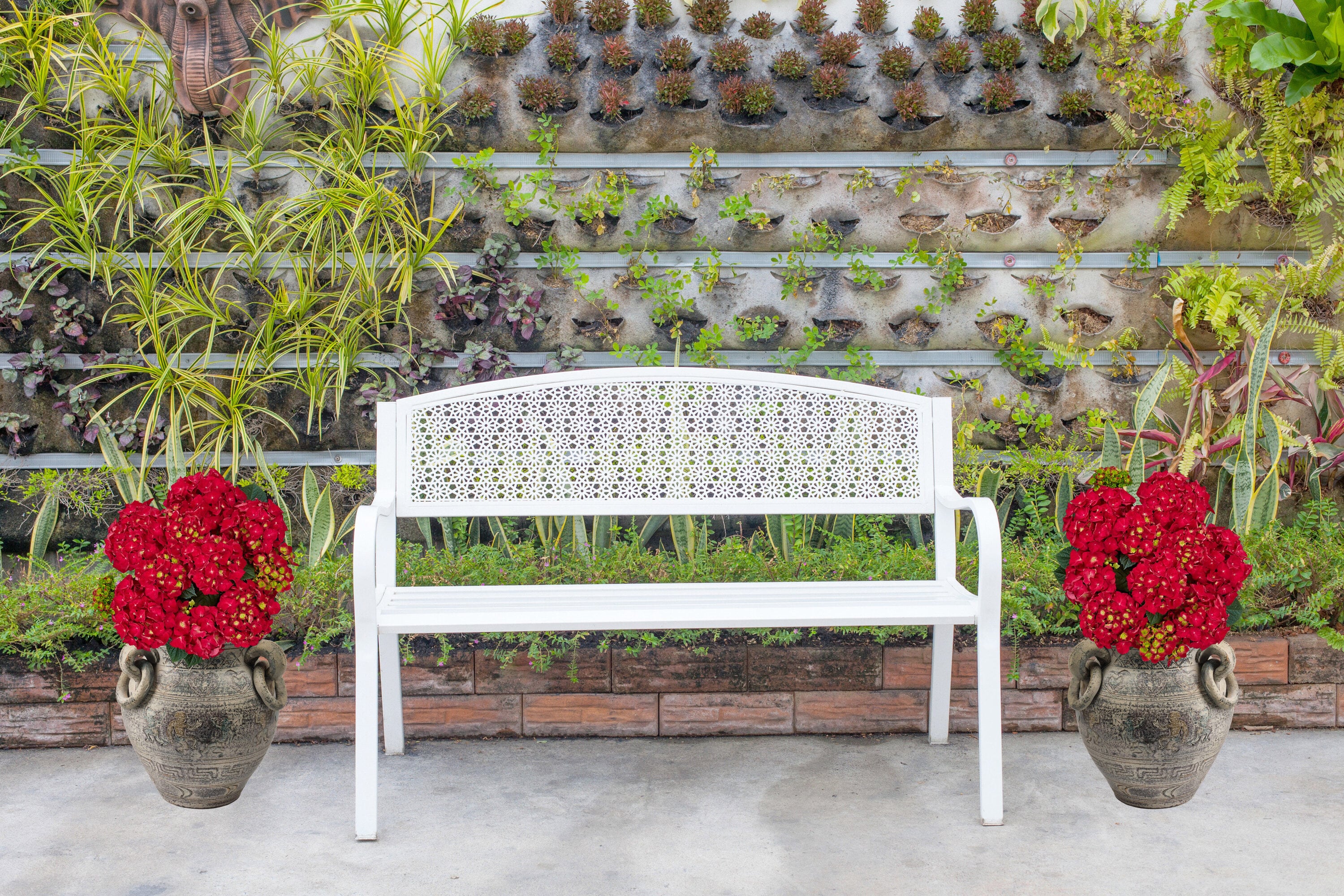  2205 shrubs - View #7