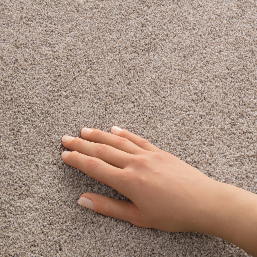 STAINMASTER PetProtect 7L939-720-SAMP Carpet-Samples - View #4