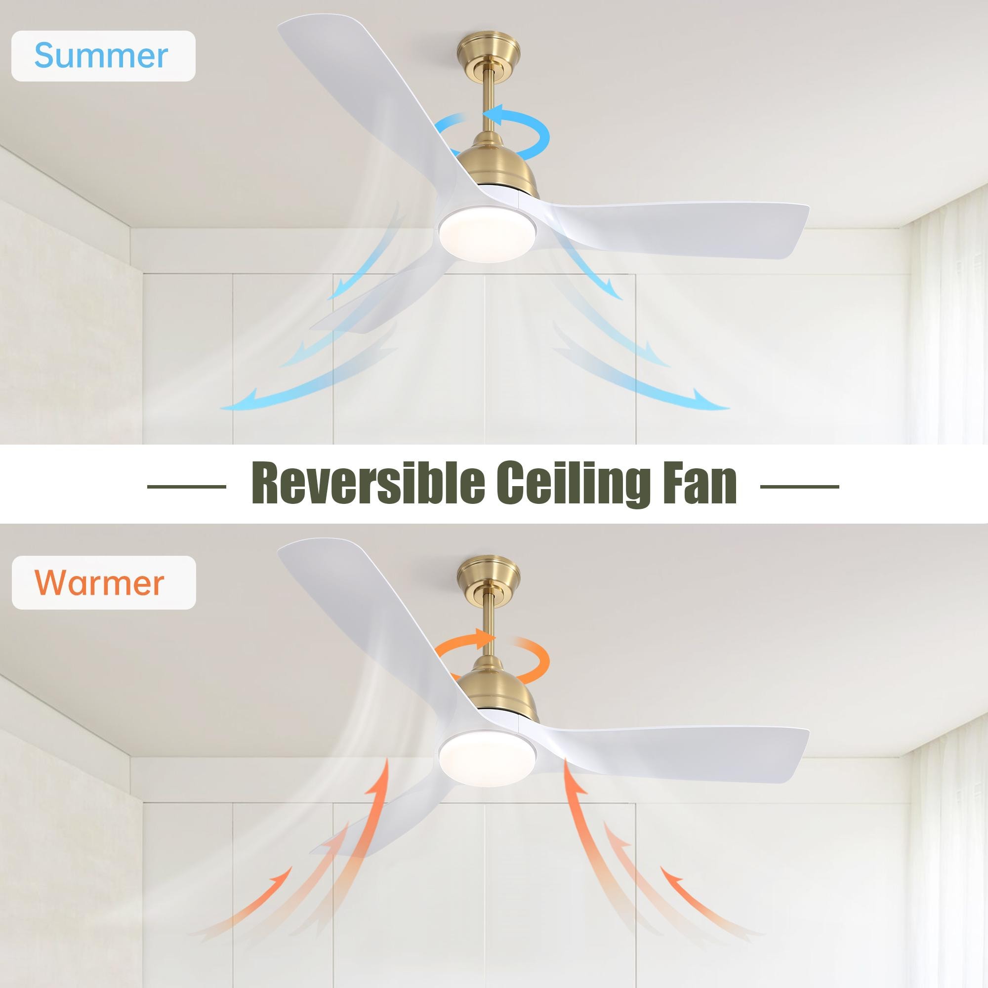 Bayfeve BFYH-5950 Ceiling-Fans - View #7