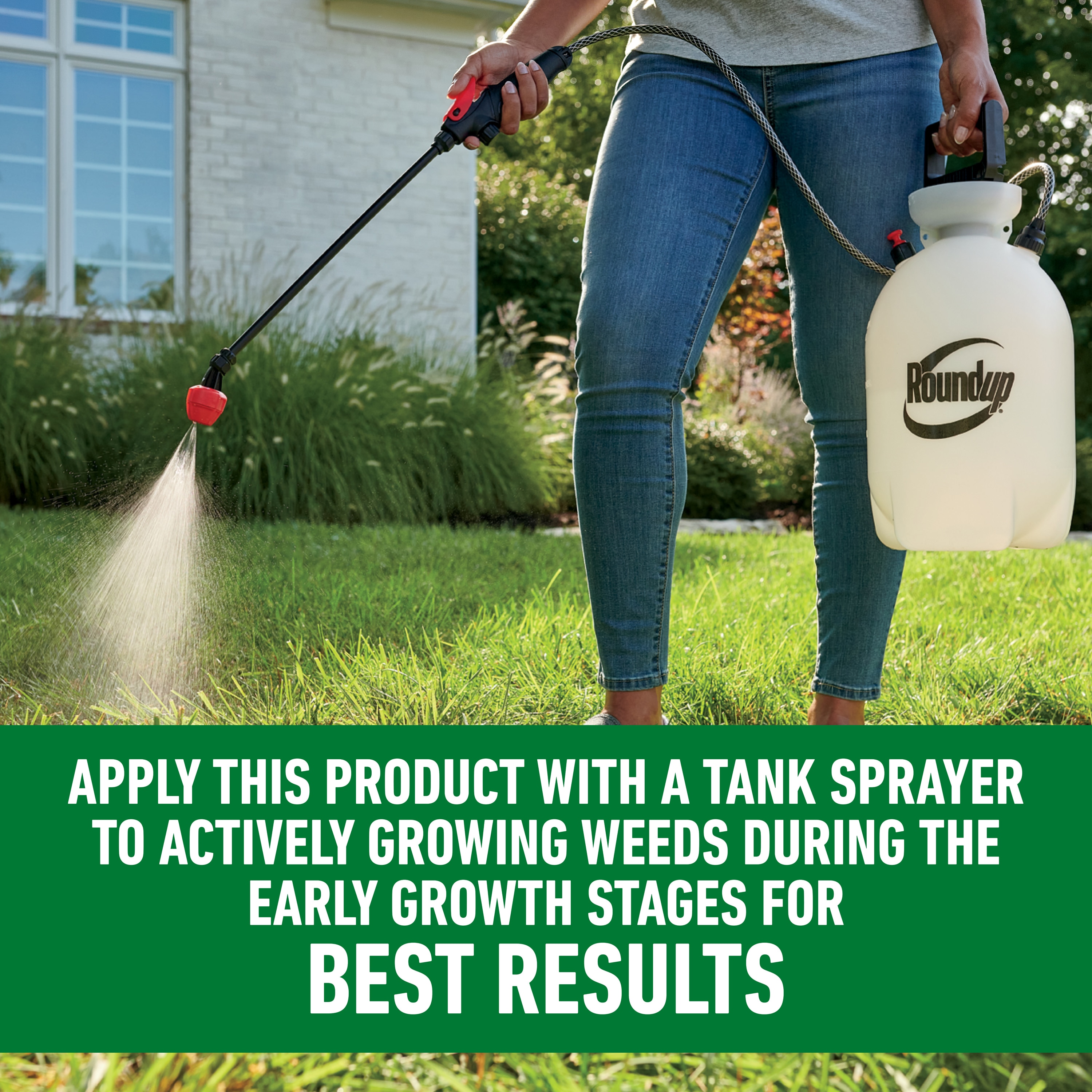 Roundup For Lawns2 32-fl Oz Concentrated Lawn Weed Killer In The Weed ...