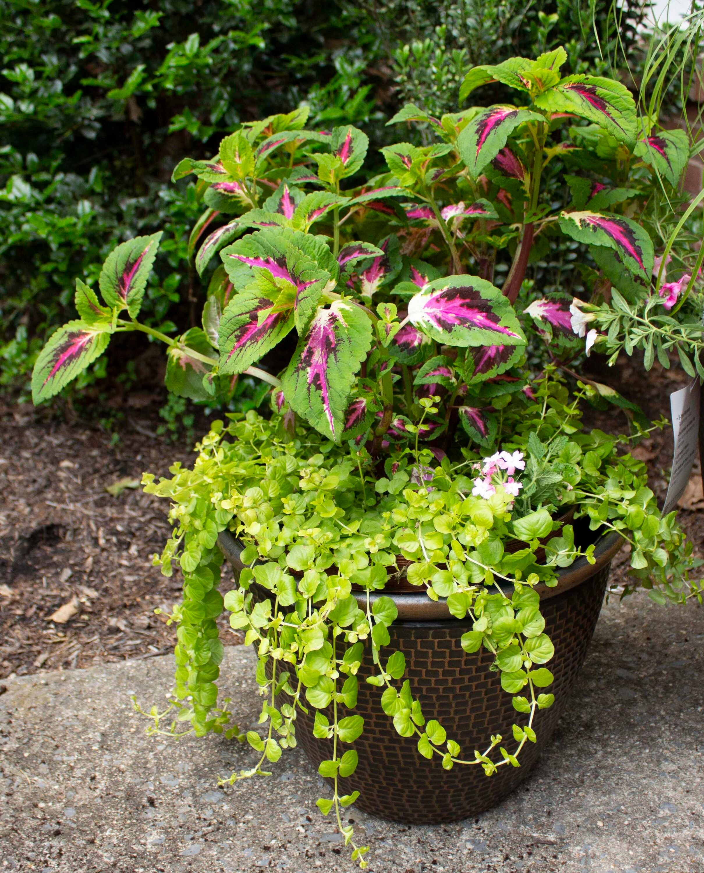 allen + roth US840649 Planter-Window-Box - View #2