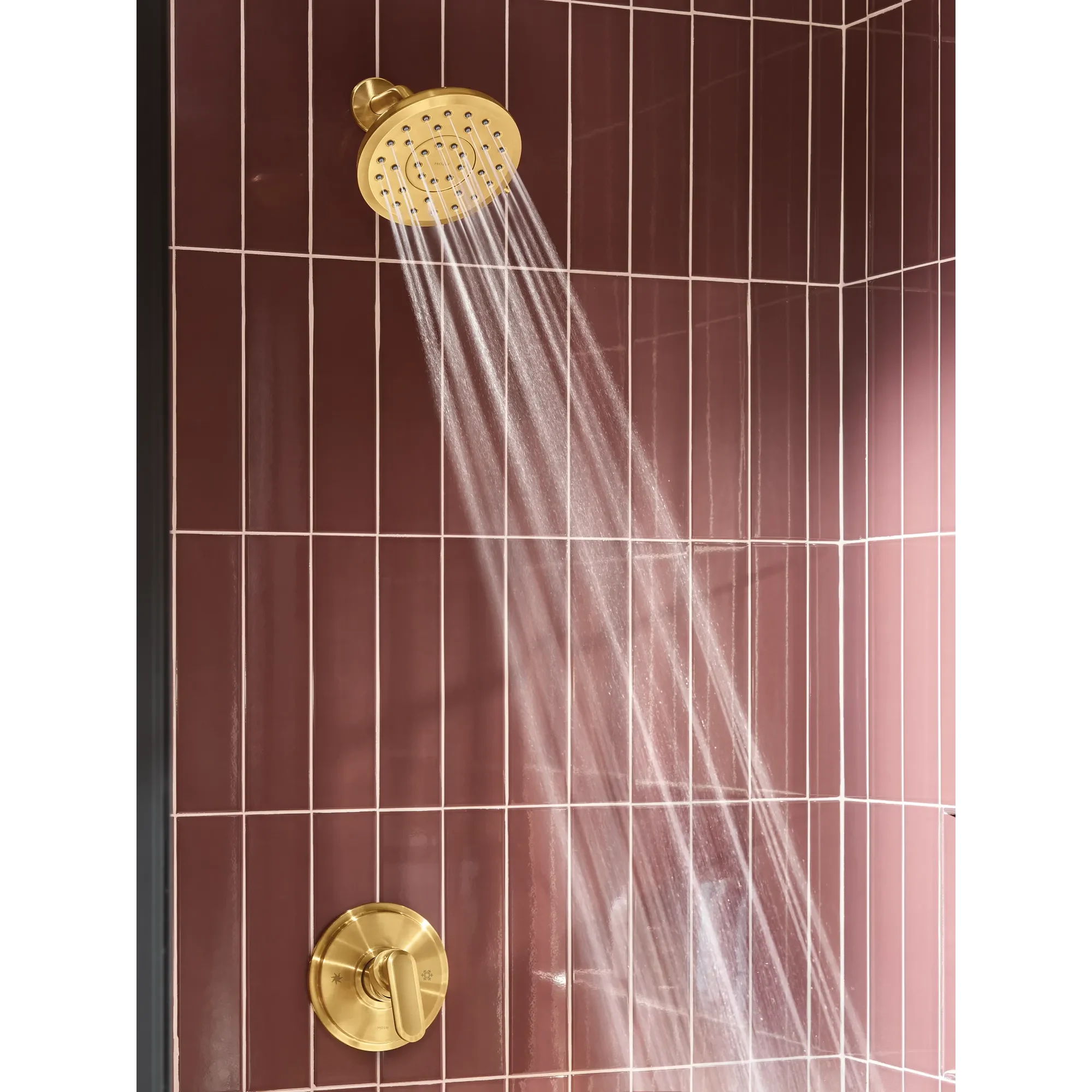 Moen 220R7BG Fixed-Showerhead - View #4