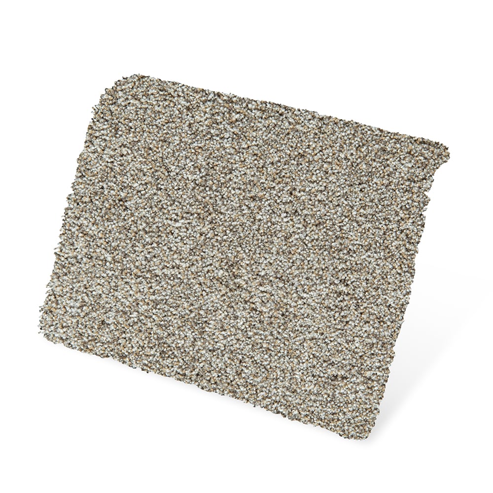 STAINMASTER SS079-12-L006 Carpet-Panel - View #3