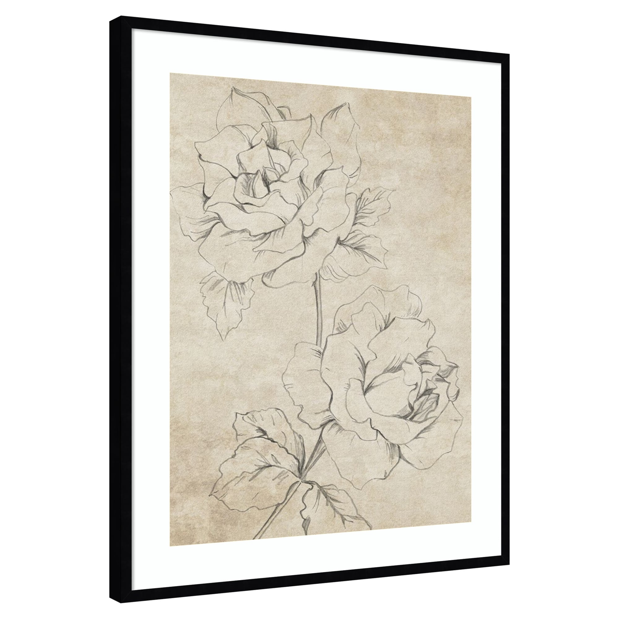 Amanti Art Rose Sketch Sepia by Patricia Pinto Wood Framed Wall Art Print