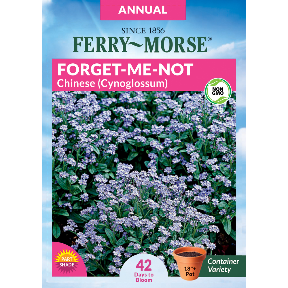 Forget Me Not  hawaiiseedgrowers