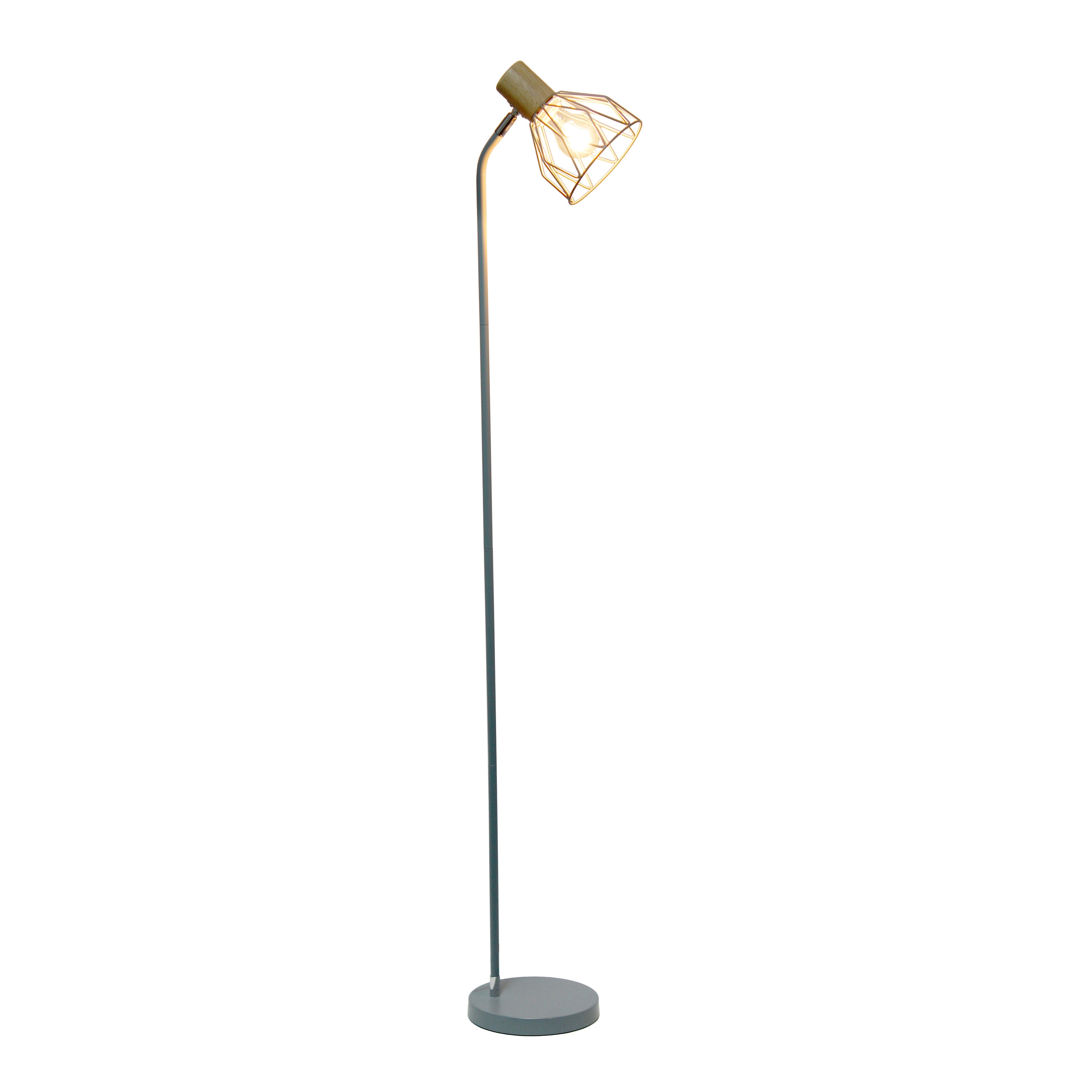 Gray Adjustable Industrial Farmhouse Floor Lamp with Wire Cage Shade