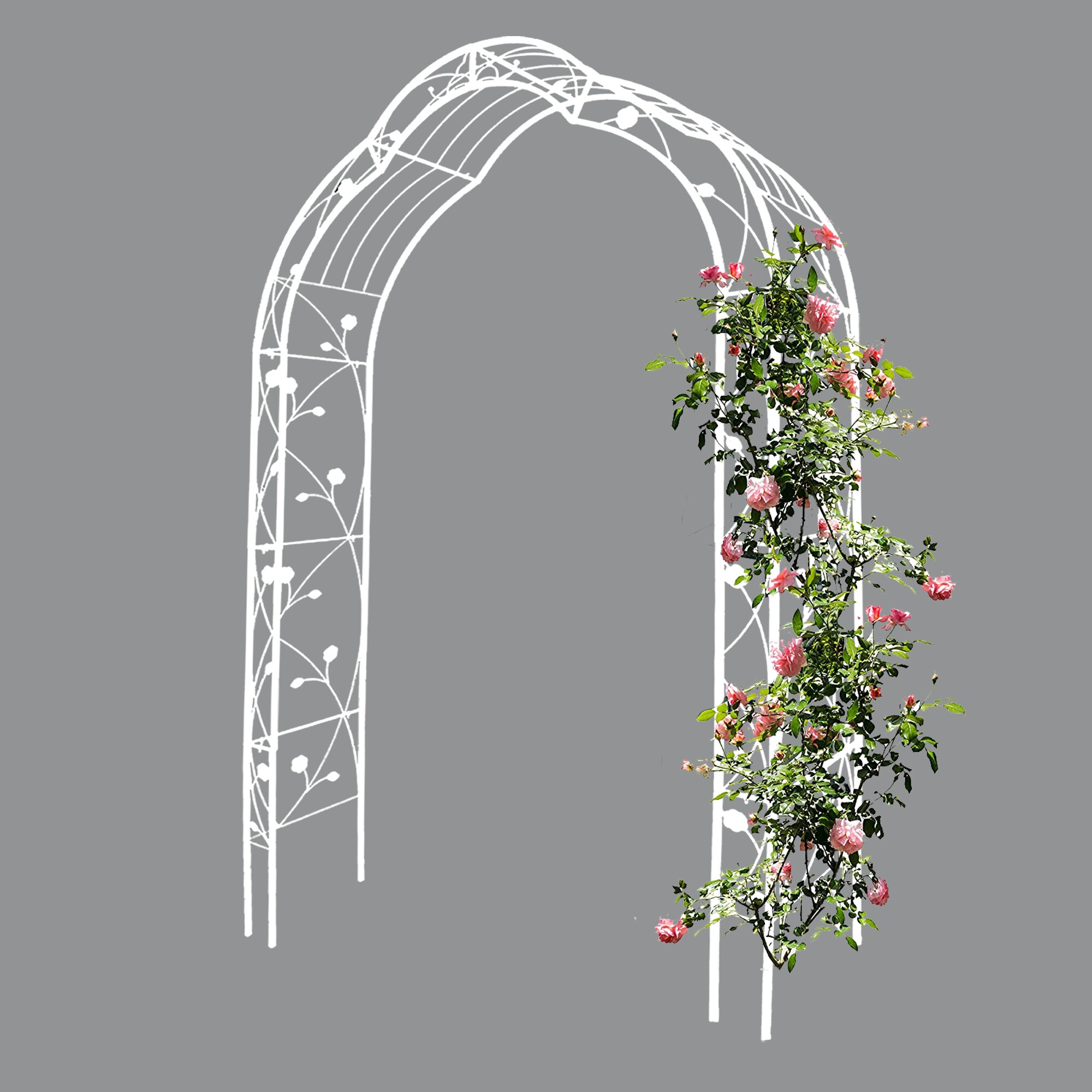 AHIOU HOME ZAAHG-81140GA Garden-Arbor - View #4