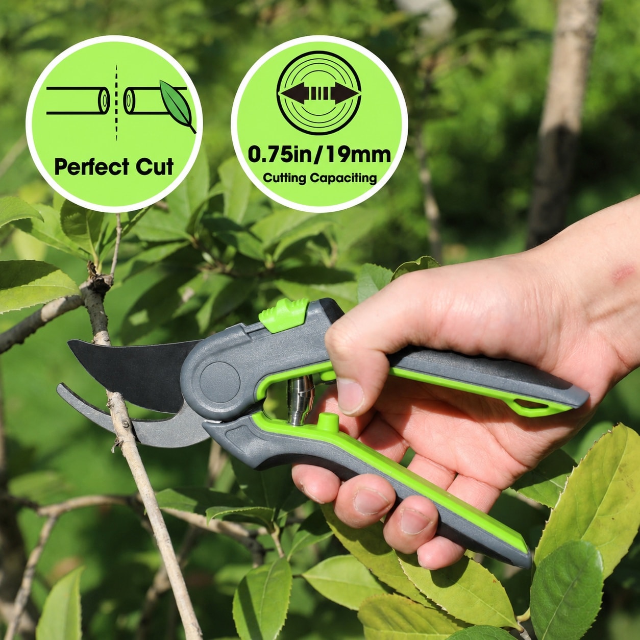Justincity LJT0530J108 Hand-Pruners - View #4