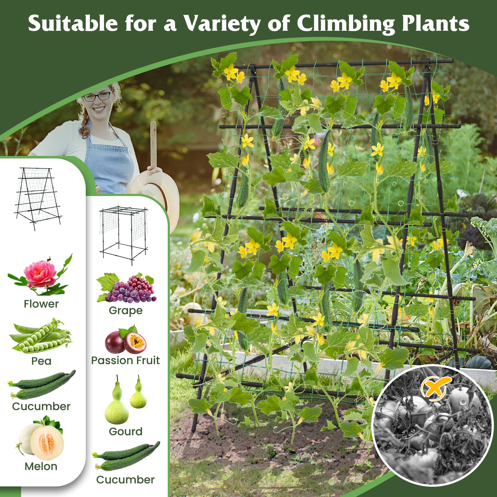  YSGT416671BK Garden-Trellis - View #9
