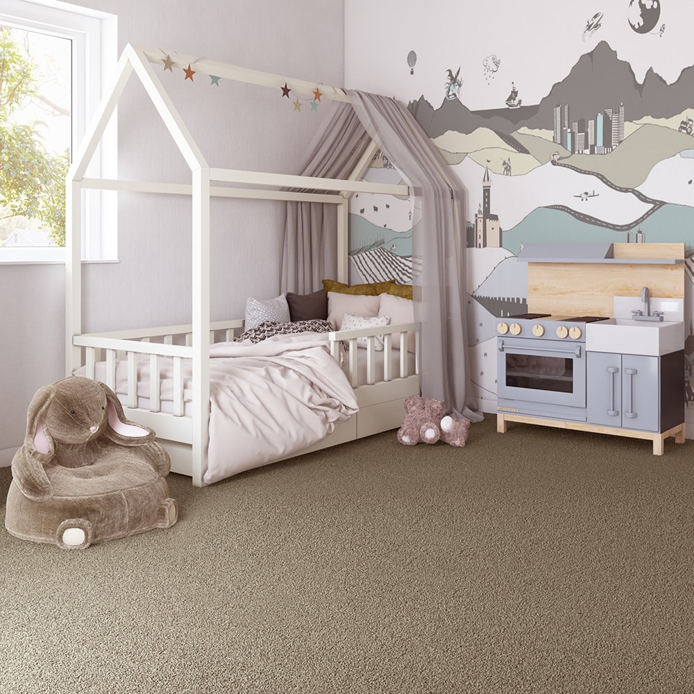 STAINMASTER LW185-L011-0808 Carpet-Samples - View #3