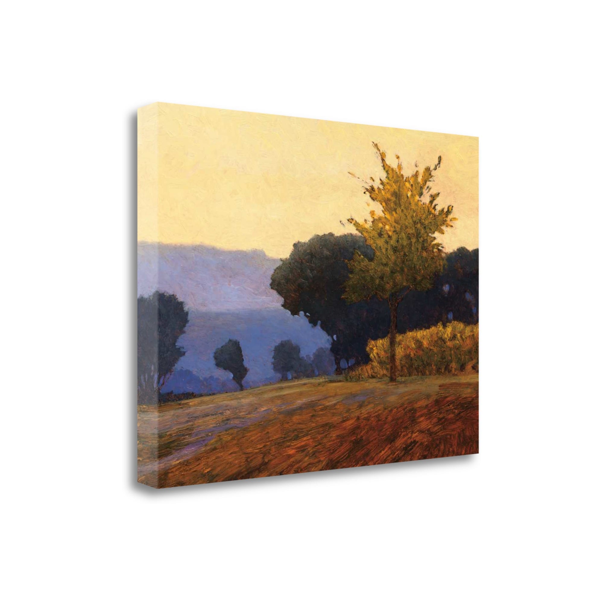 Tangletown Fine Art CALKP126-4735C 35-in H x 47-in W Landscape Print on Canvas