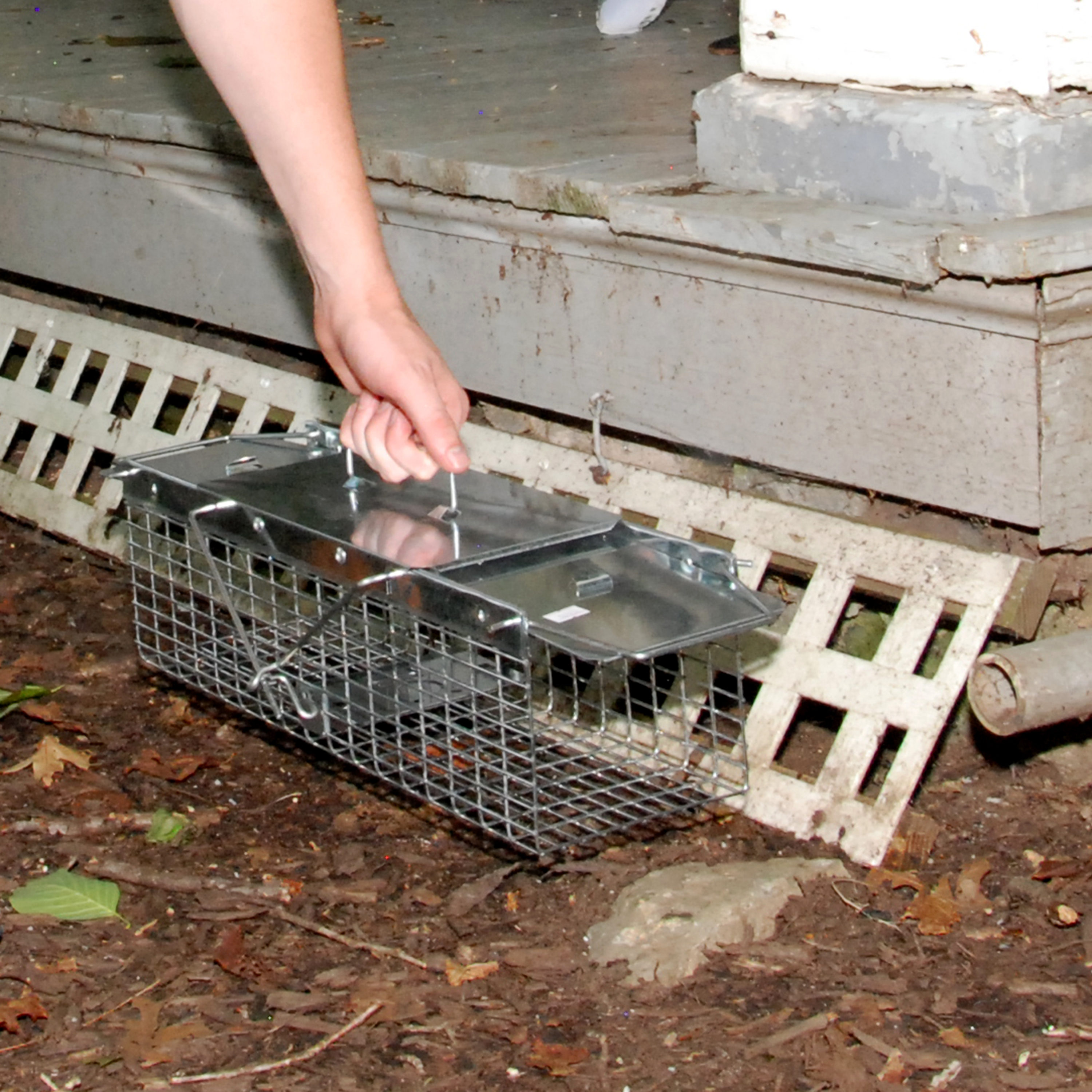 Havahart 1025, animal trap, Mechanical trap, manufactured from Metallic
