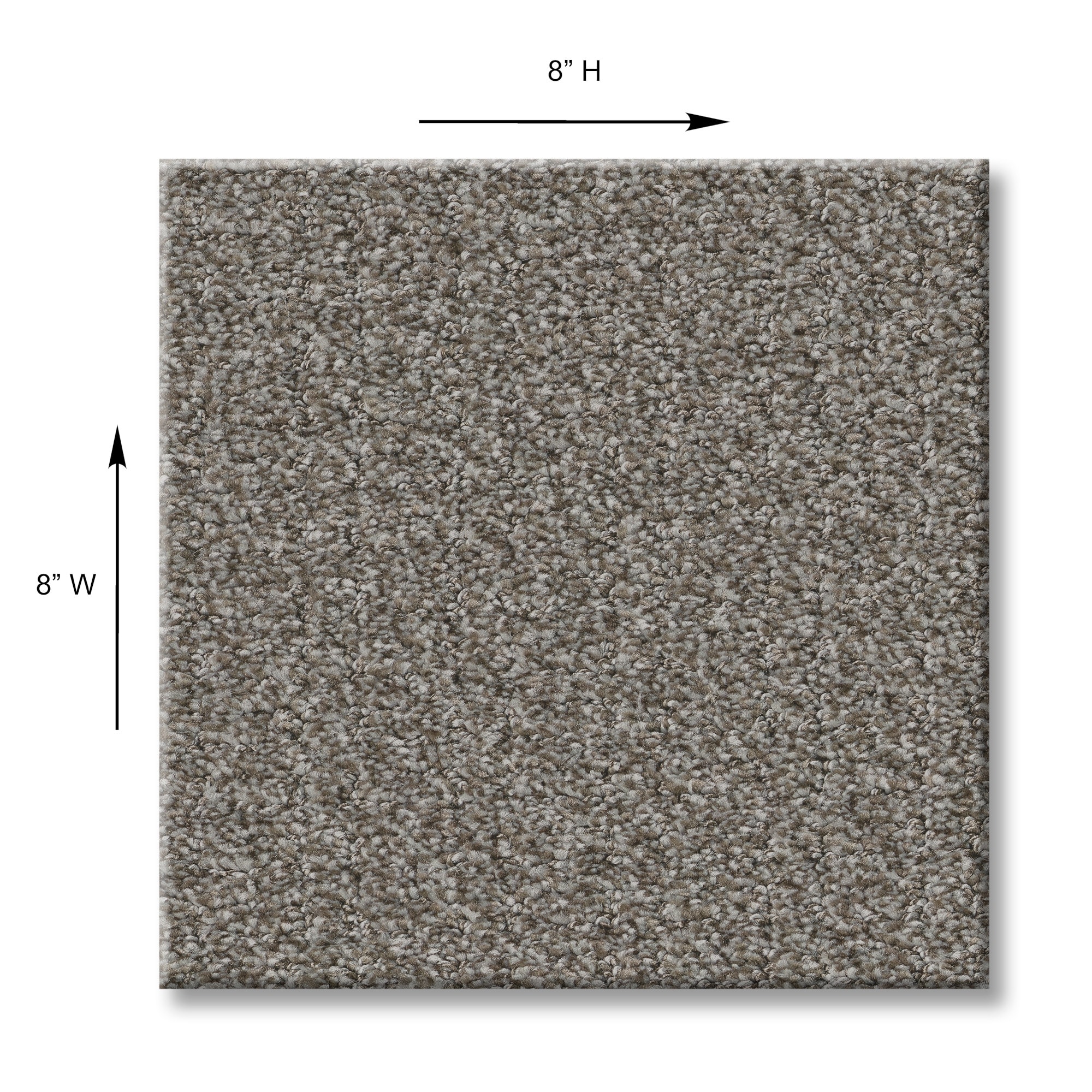 STAINMASTER PetProtect 7L932-710-SAMP Carpet-Samples - View #10