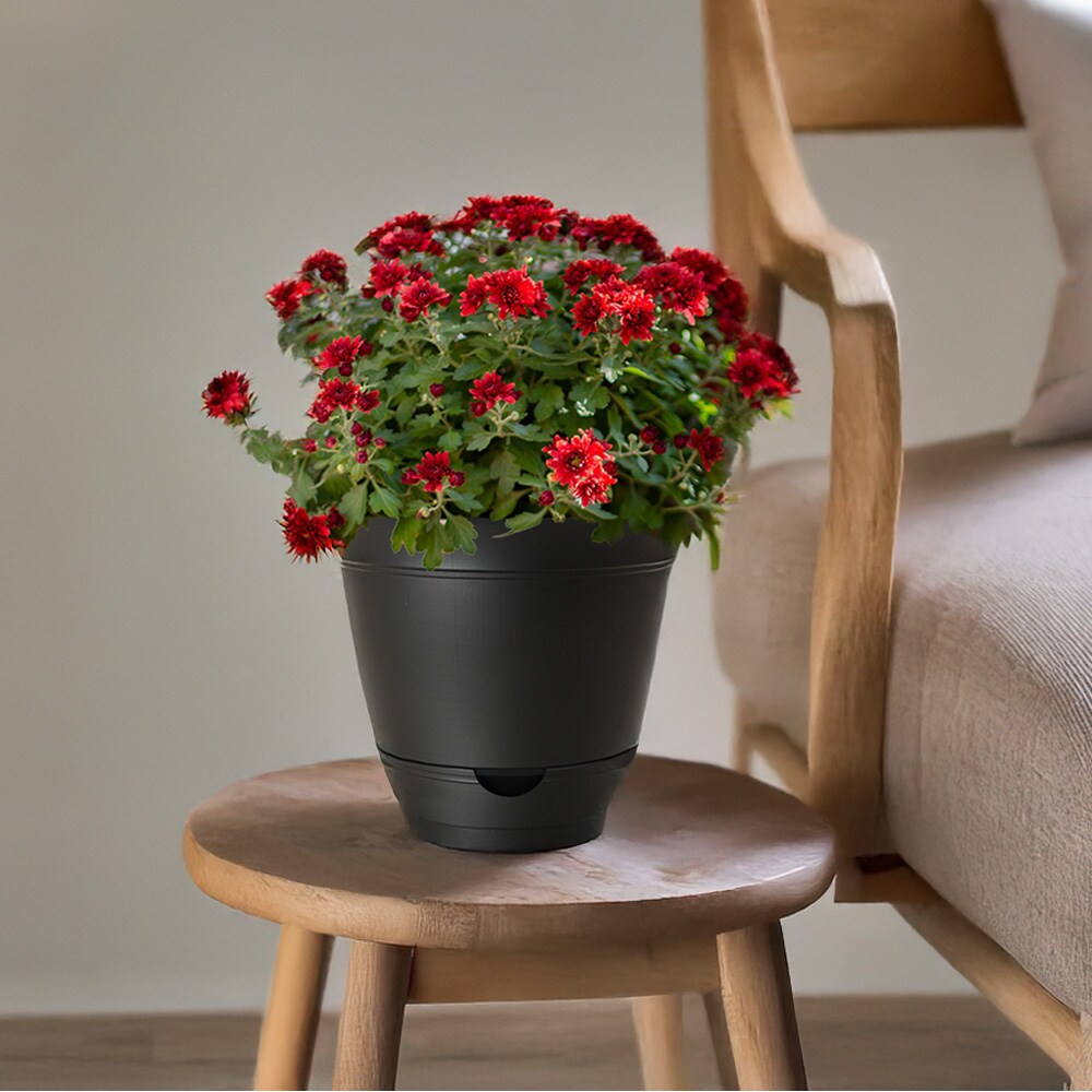 Style Selections DP2132R/DPS2132R-BLK Planter-Window-Box - View #4