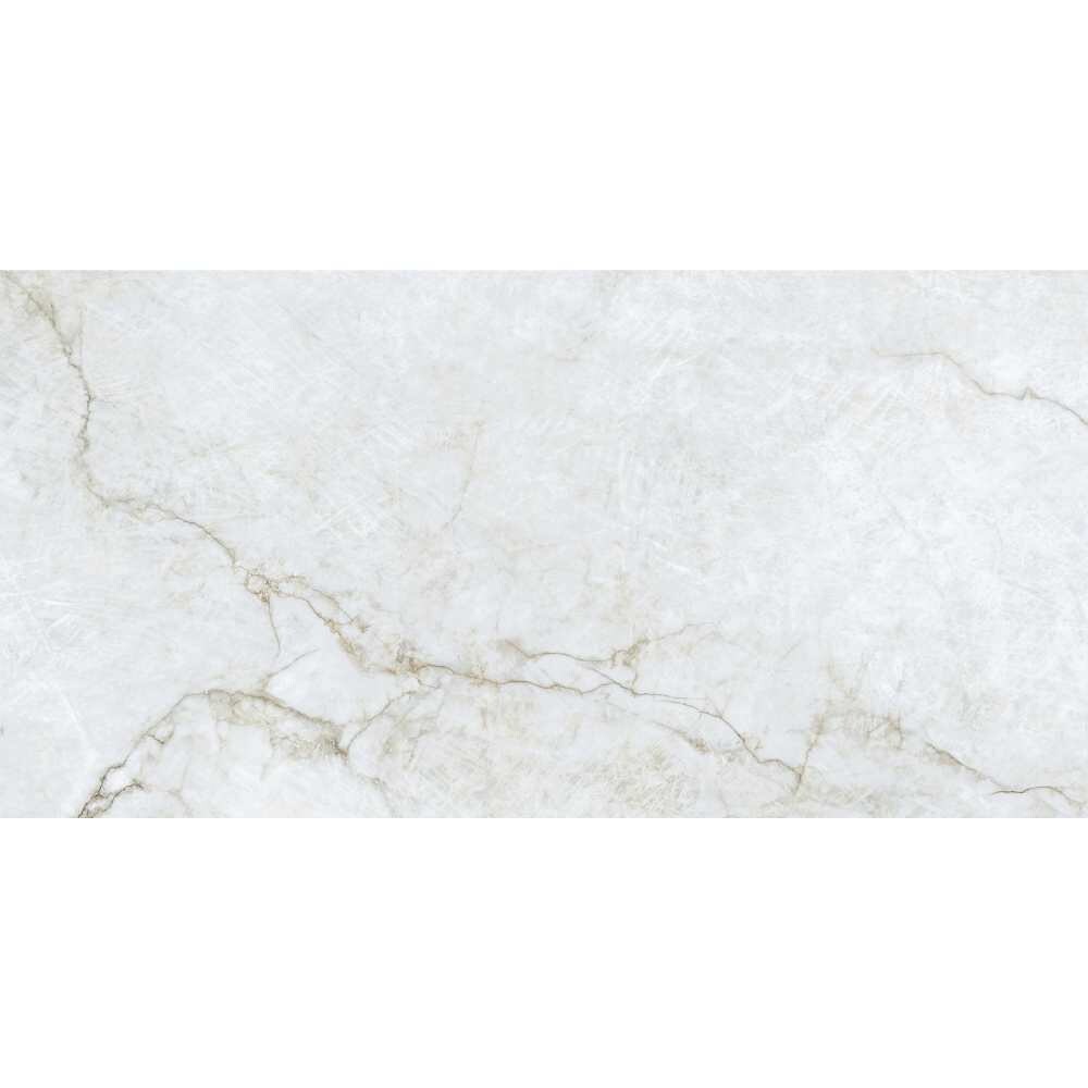 The Tile Life TPREC2448GO Ceramic-Tile - View #15