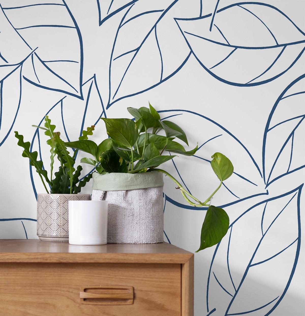 NextWall NW36502 wallpaper - View #3