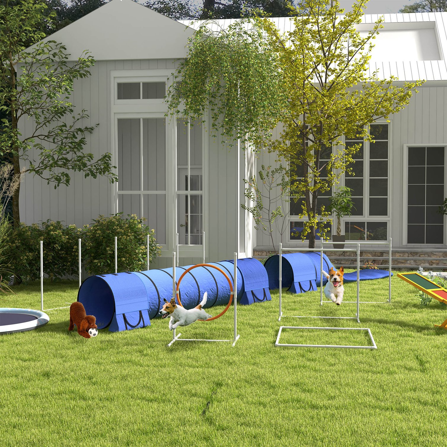 Tammesy M1SKFGHDD0JE Dog-Park-Agility-Course-Kits - View #4