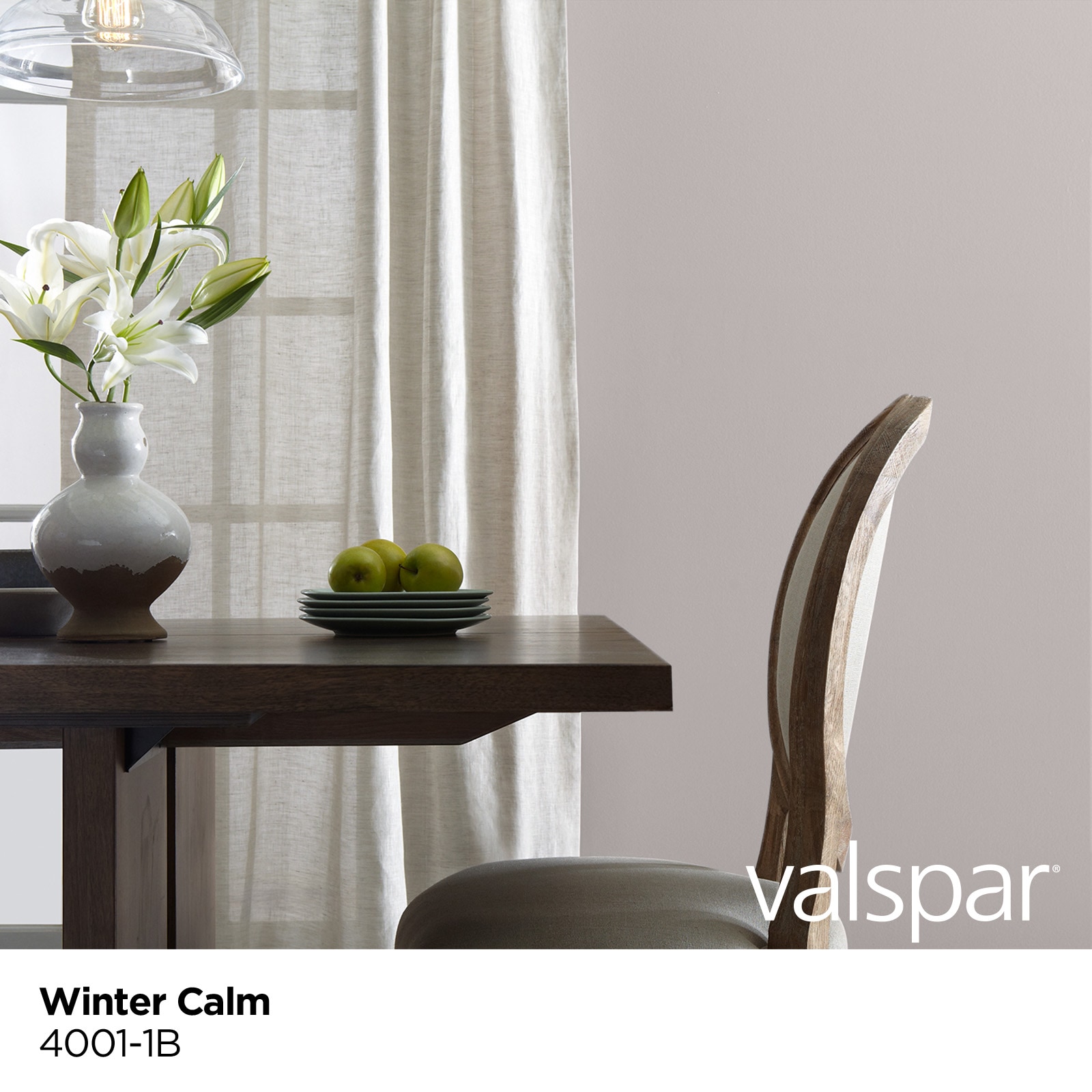 Valspar 4001-1B-447515 Int-Ext-Paint - View #3