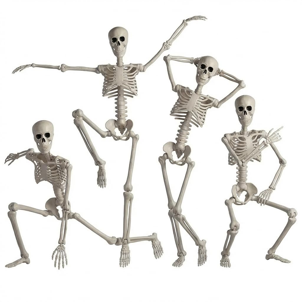 UMEELR 4-Pack 36 Inch Life Size Posable Halloween Skeleton Full Body with Movable Joints for Indoor Outdoor Decoration