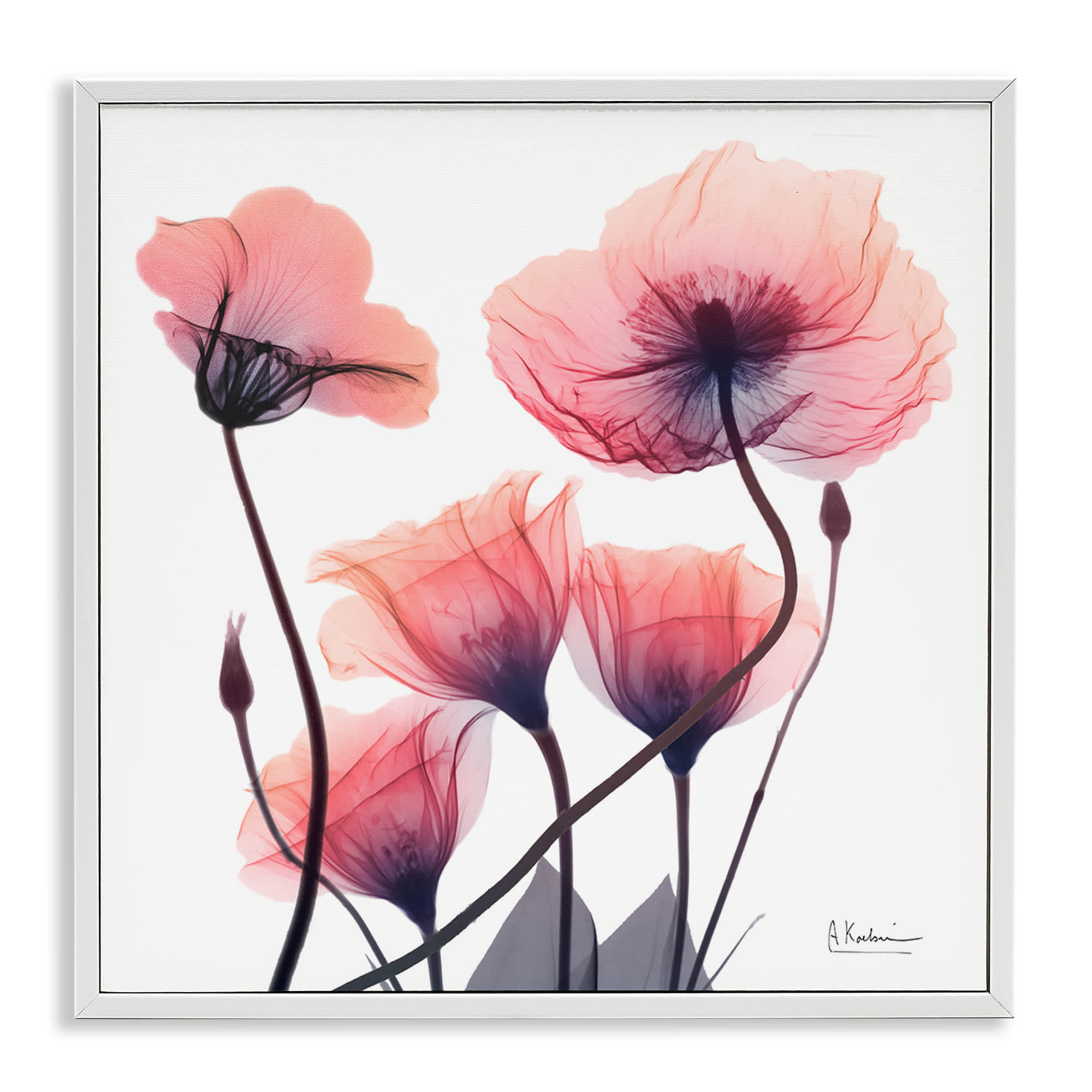 Stupell Industries BS-021-WFR-17X17 Elegant Modern Poppy Buds White Framed Giclee Art By Albert Koetsier 17 x 17