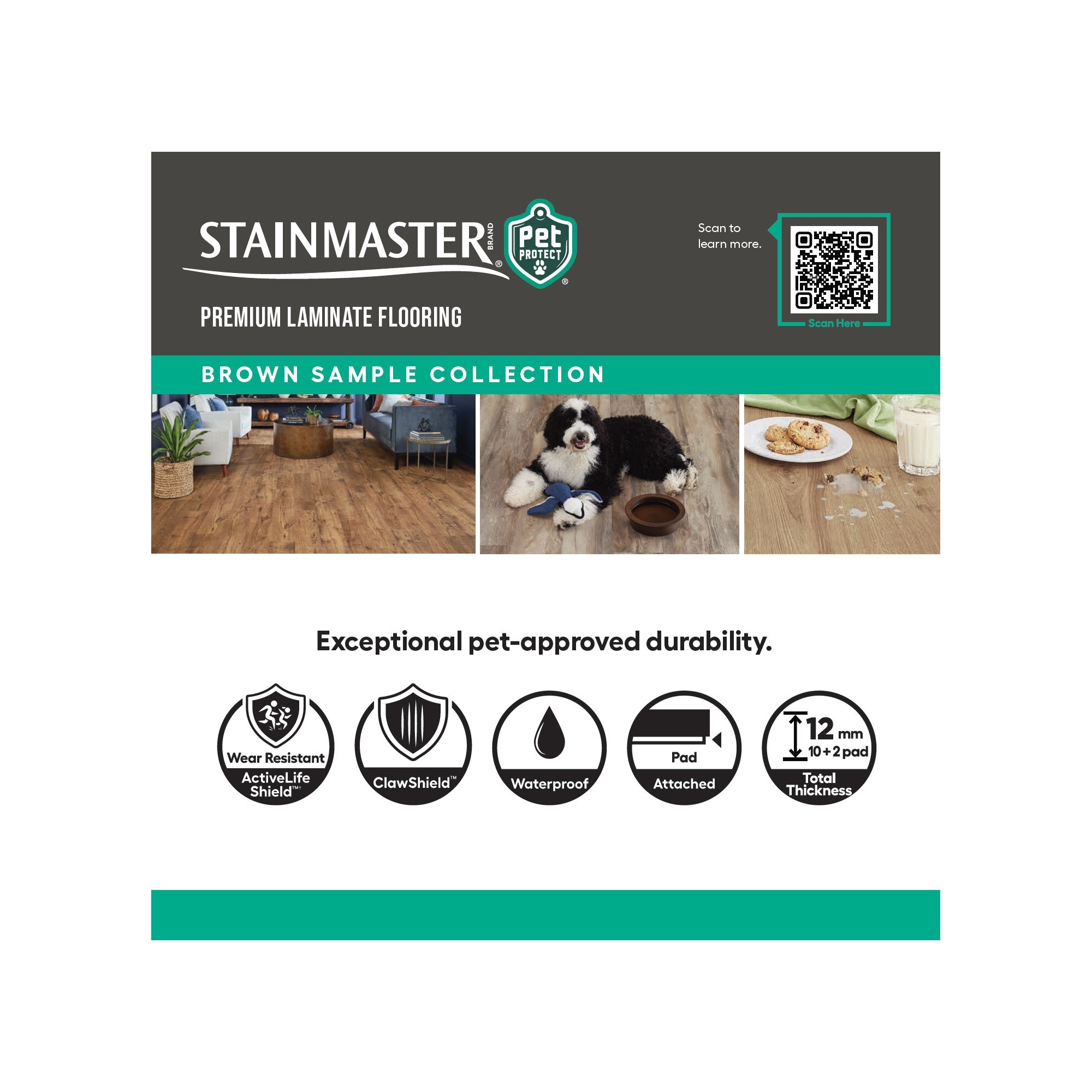 STAINMASTER PetProtect SBX0063785 Laminate-Flooring-Samples - View #2