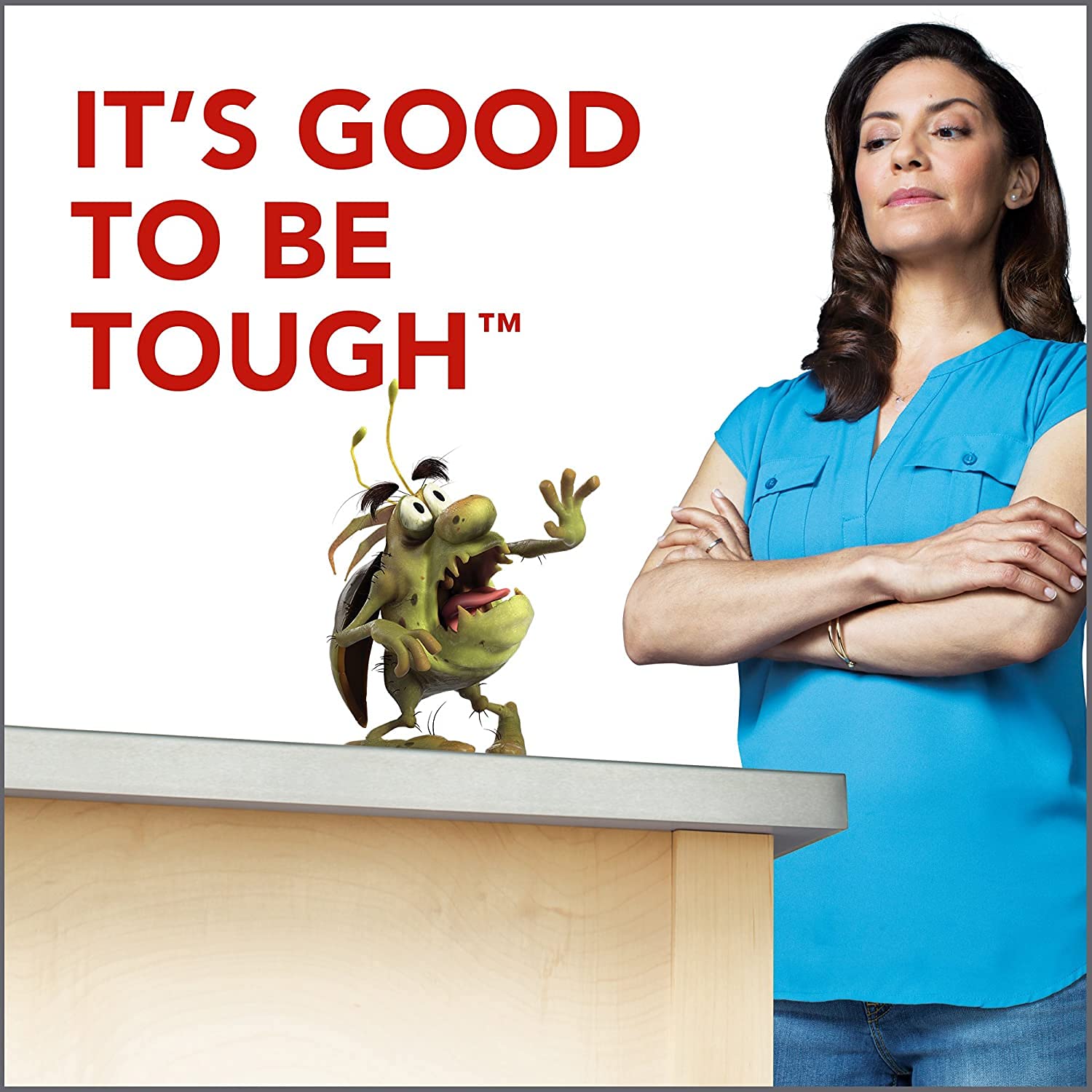 Raid 46500216138 pesticides - View #3