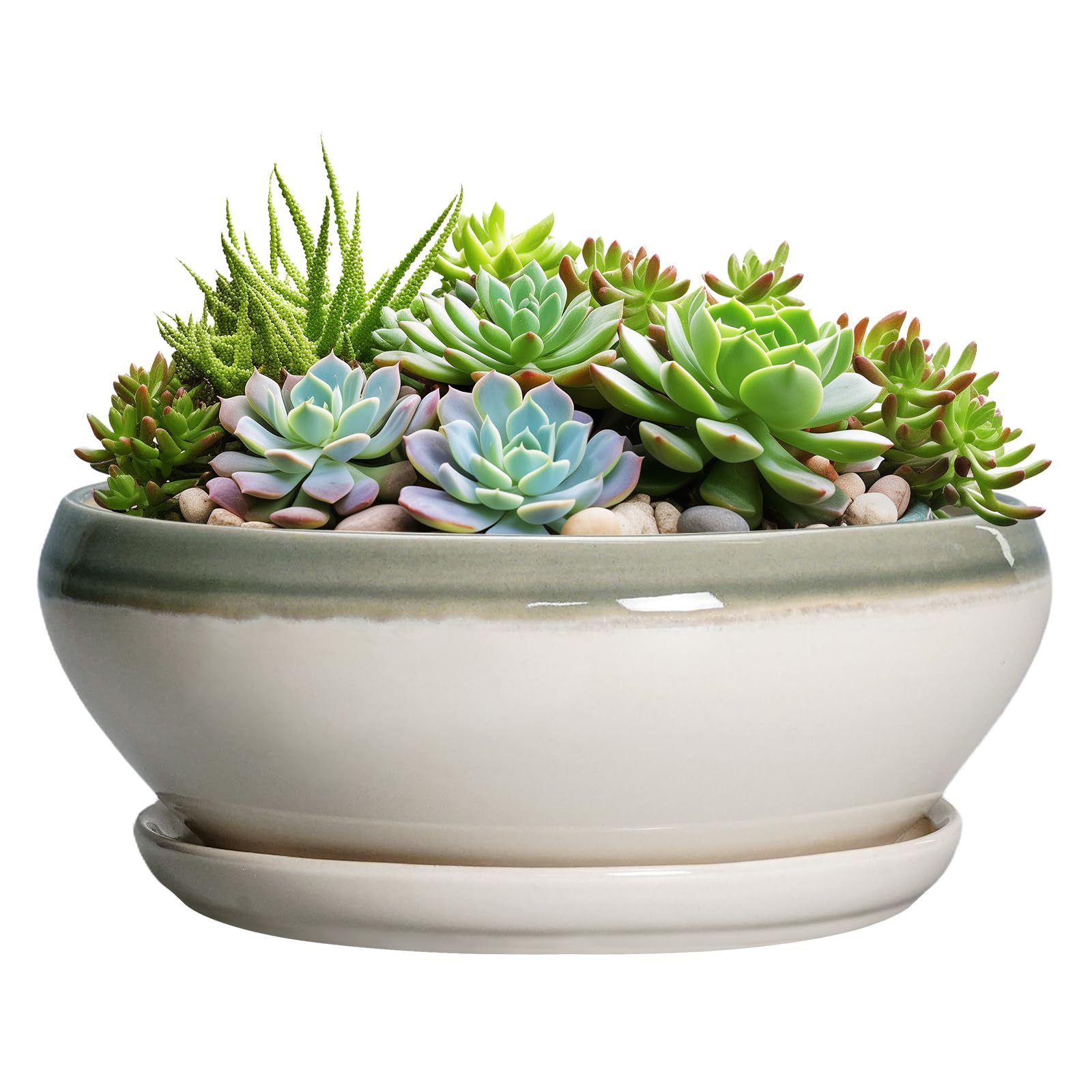 Adrinfly - Large Succulent Planter 12 Inch Ceramic Bonsai Pot with Drainage Hole and Saucer Shal...