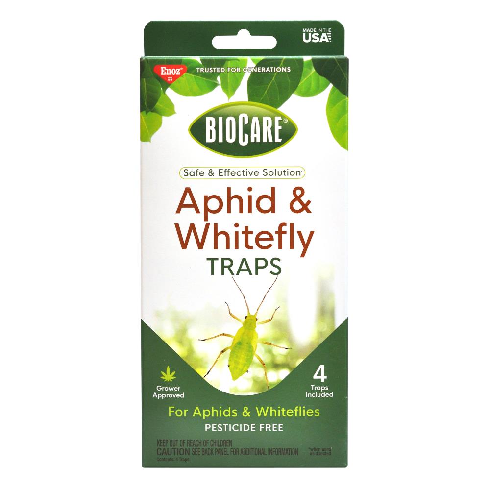 25-pk Fruit Fly Gnat Amphids White Flies Sticky Trap – P2 Trading Inc.