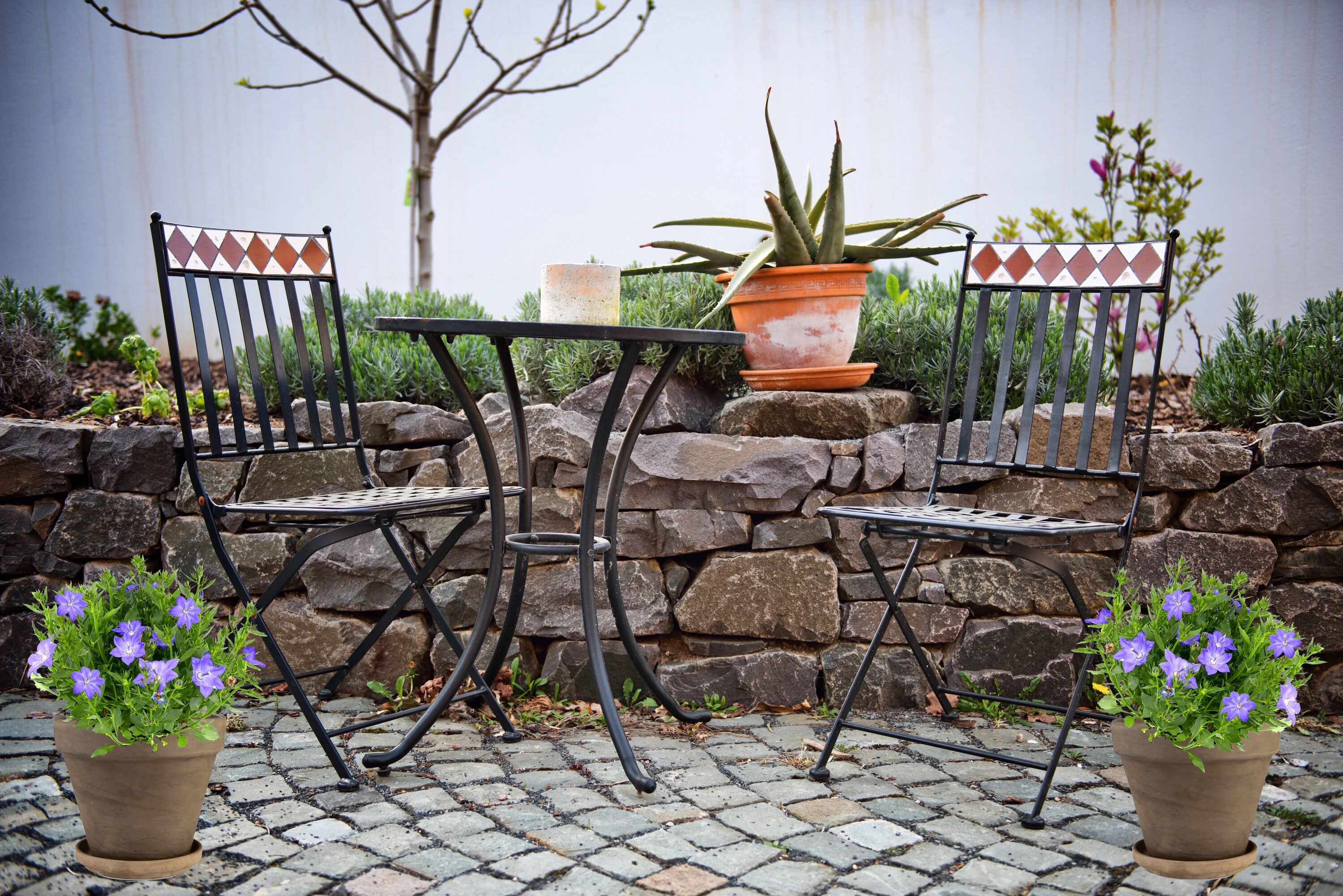  2420 perennials - View #7