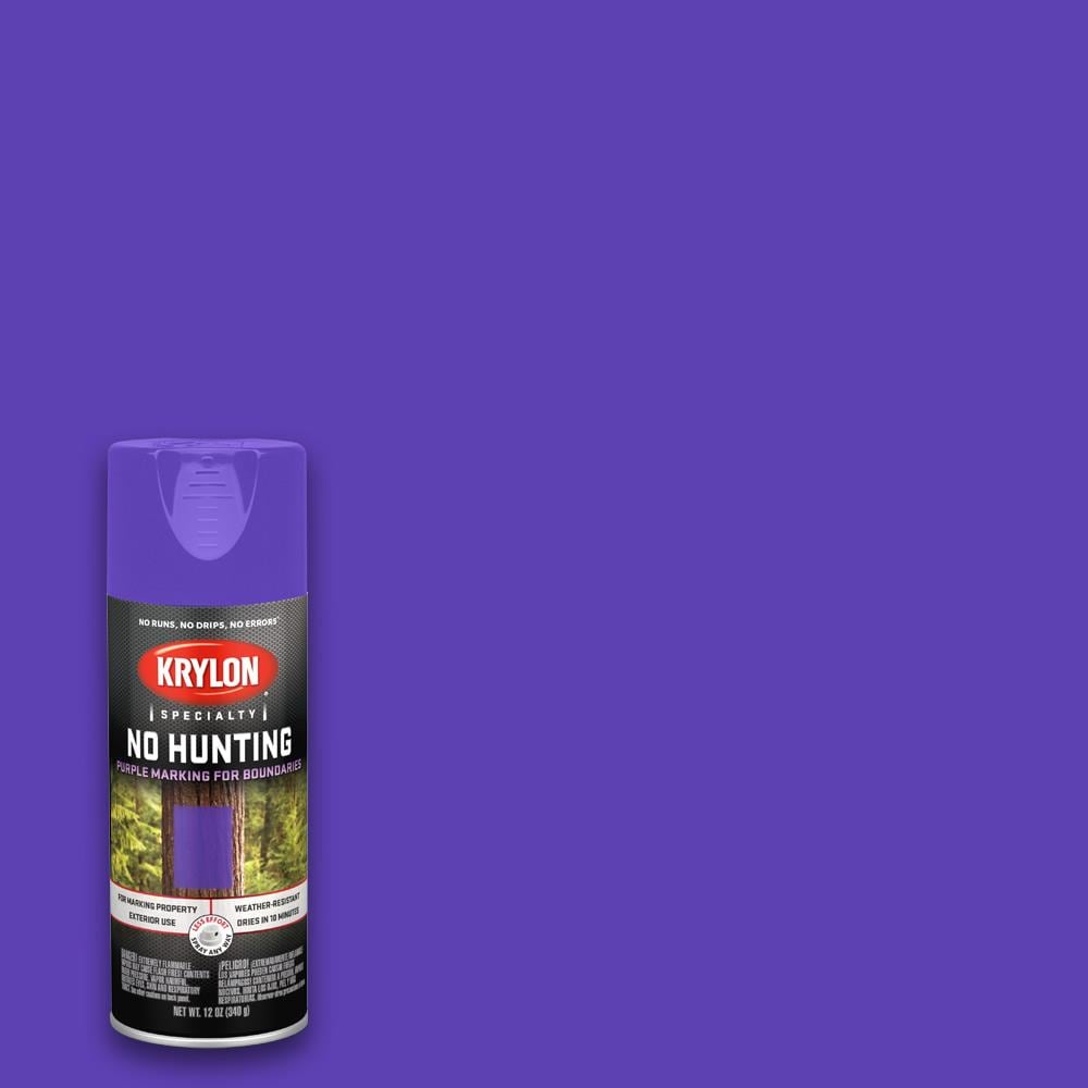 Krylon Gloss Purple Spray Paint (NET WT. 12-oz)