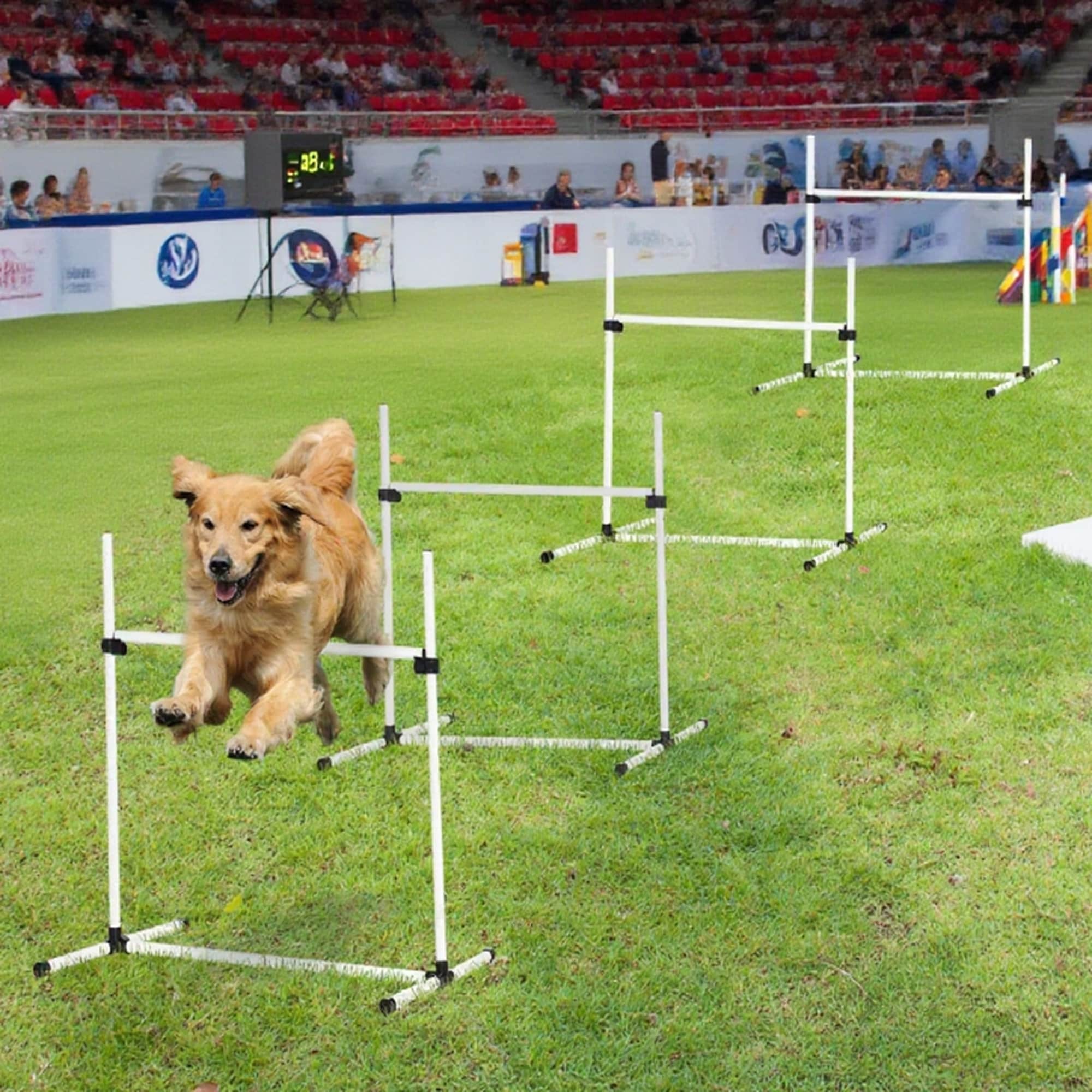 Boyel Living - White Dog Agility Training Equipment Set of 4 Bar Jumps with Carrying Bag