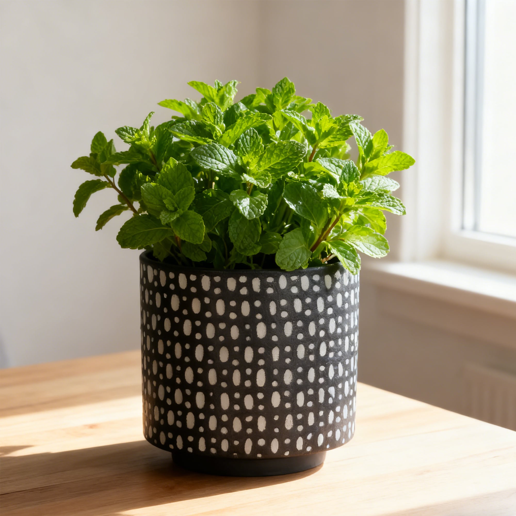 allen + roth PLKF808TKK Planter-Window-Box - View #7