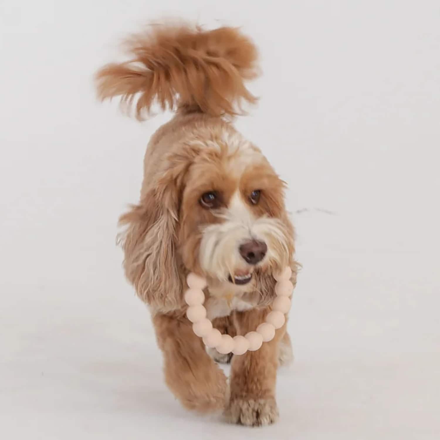 Dexypaws G0871789001690 Dog-Toys - View #7