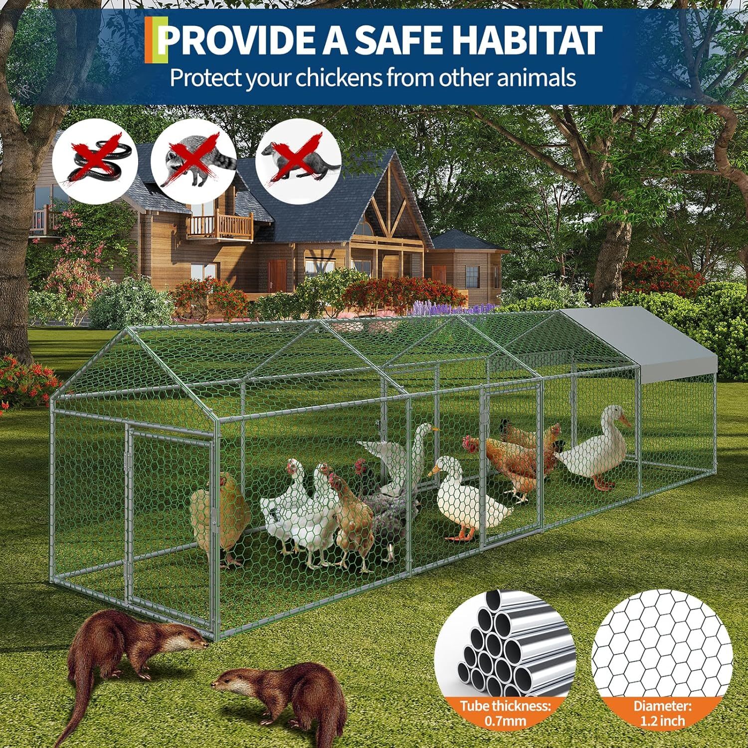 Qeetex GGL-PPG-33EVRBGU Chicken-Coops-Rabbit-Hutches - View #7