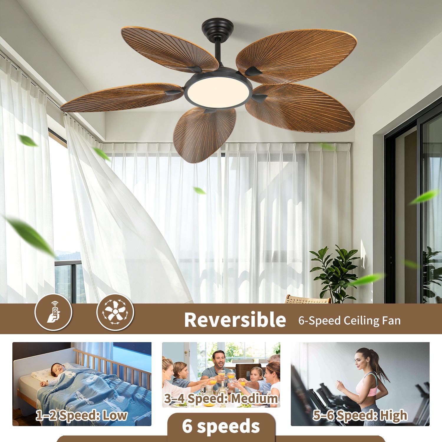 Bayfeve BF-512364-MP Ceiling-Fans - View #4