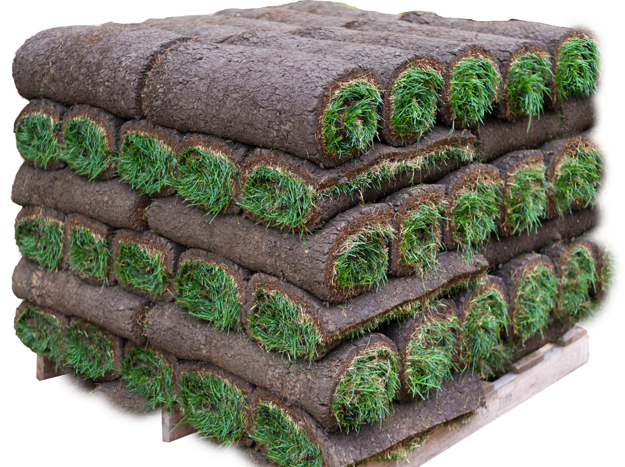 Harmony Outdoor Brands 500-sq ft Natural Fescue Grass Sod Pallet ( Individual Piece Dimensions: 54-in x 48-in )